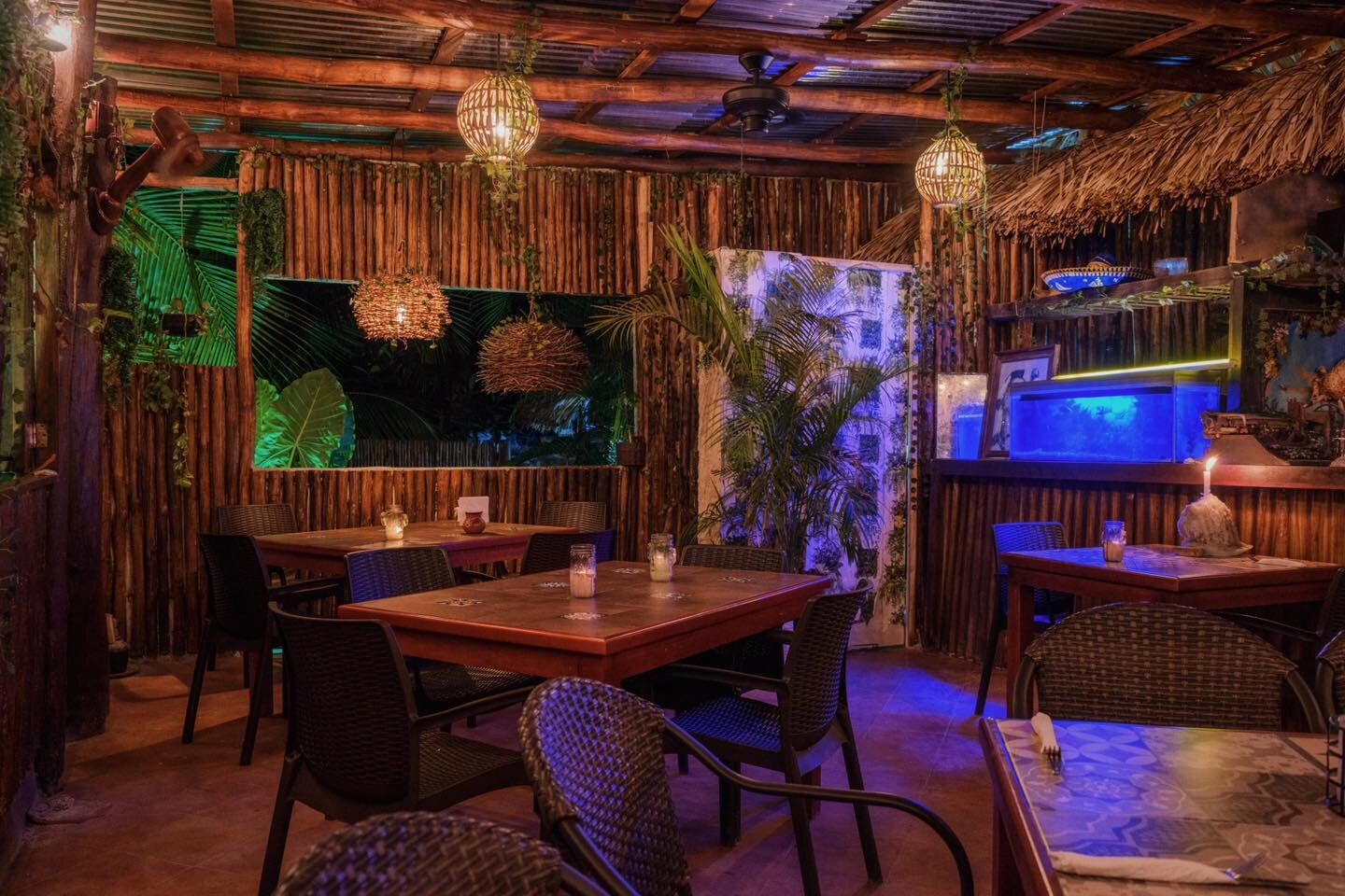 Our back patio 🤍 what do you think? 

#islacozumel #cozumelmexico #mexicancaribbean #lobsterlover #cozumel #bestrestaurants #lobstertails #cozumelisland #supportlocal
