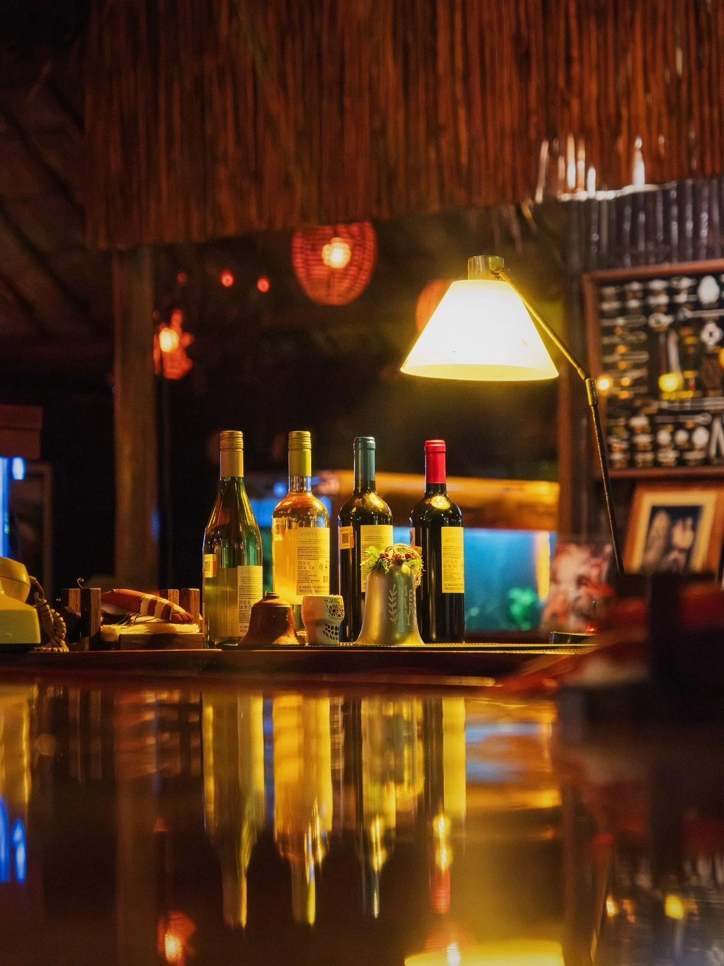 A bottle of wine, a platter of lobster, island breeze, and the glow of a perfect night. Welcome to The Original Lobster House. 🦞🍷

#cozumel #cozumelmexico #cozumelisland #islacozumel #restaurants #bestrestaurants #lobster #lobstertails #lobsterlove