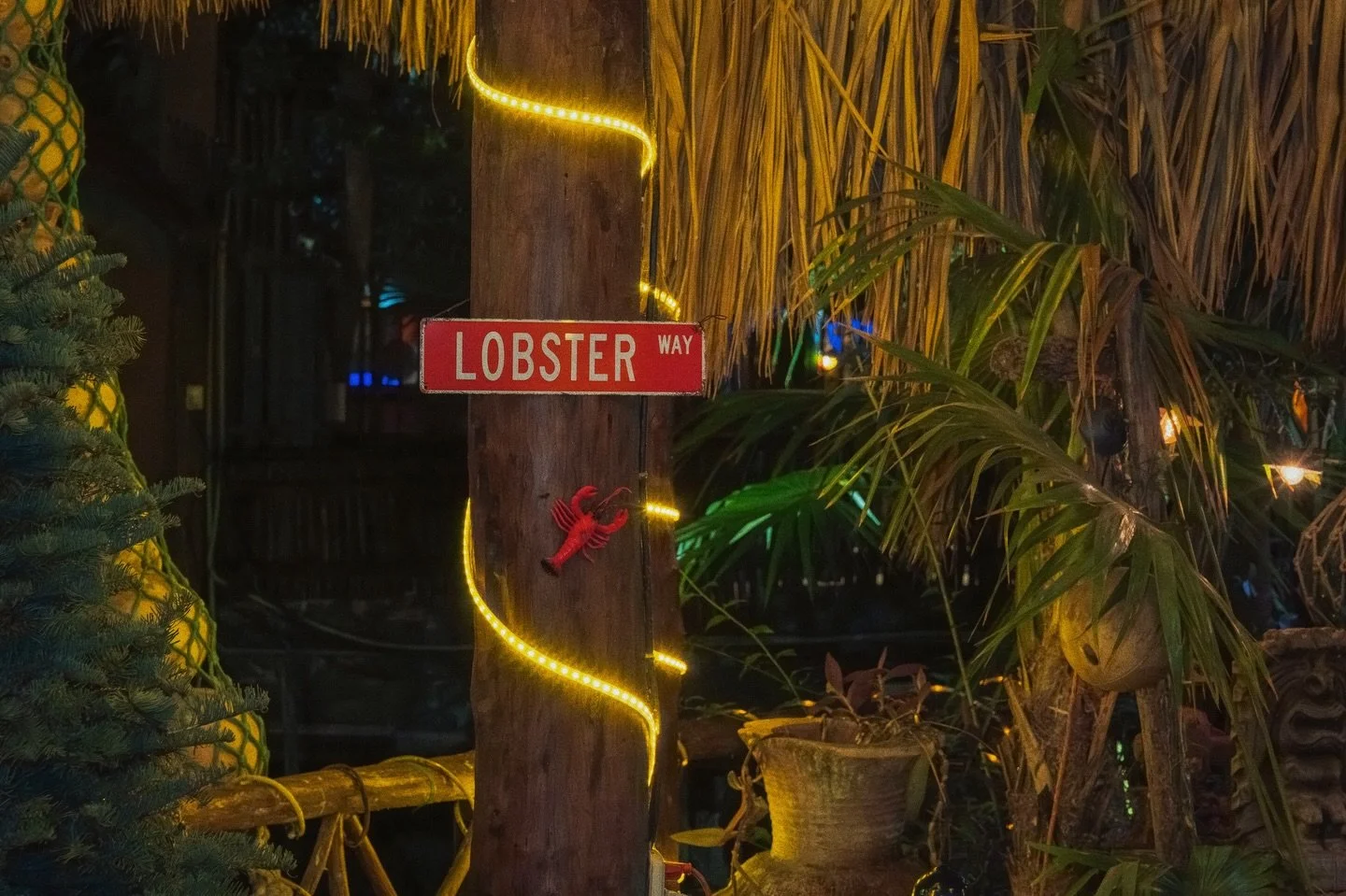 If you spot this sign, congrats&hellip; your intuition has excellent taste. 🦞

Keep walking, you&rsquo;re headed exactly where you&rsquo;re meant to be!

📍Cozumel, @theoriginallobsterhouse 

#cozumel #cozumelrestaurants #bestrestaurantintown