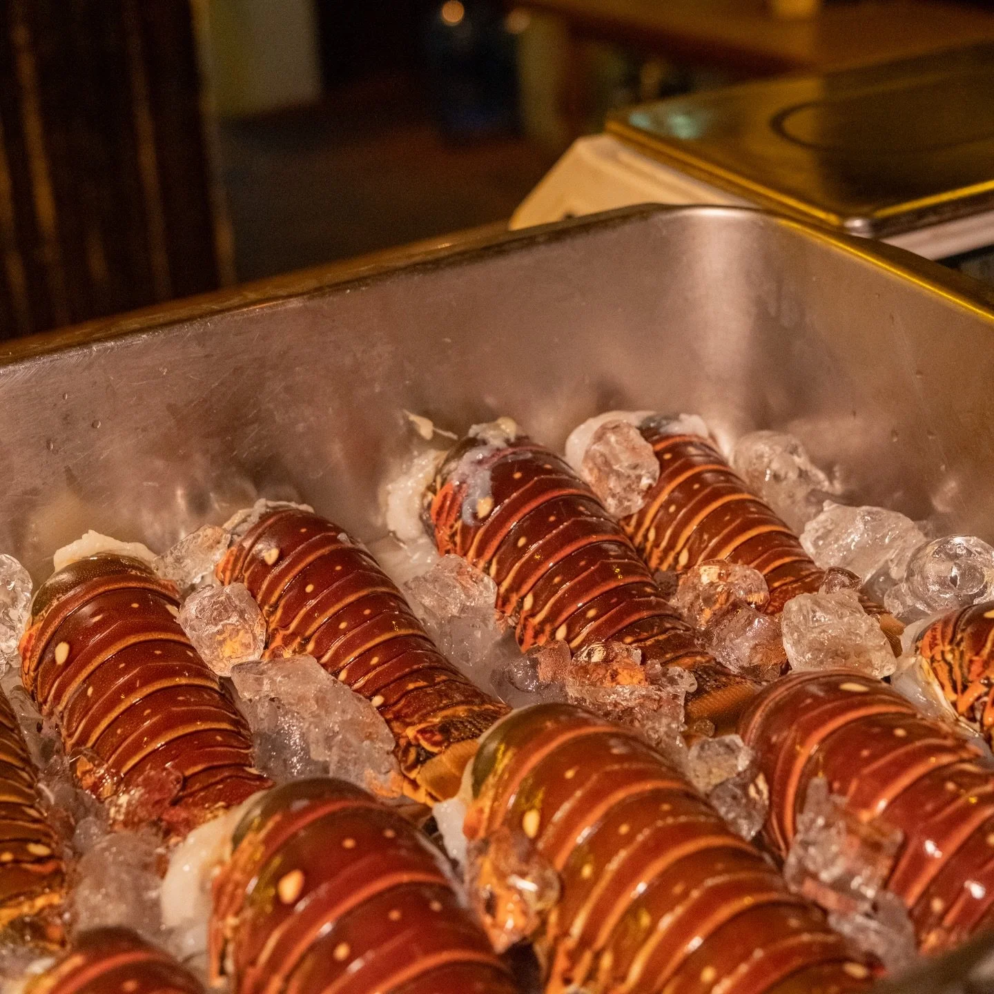 Cozumel = Amazing Caribbean Lobster
Us = The Original Lobster House since 1983 🦞@theoriginallobsterhouse 
Family recipes, lots of love, and a plan to keep serving you for the next thousand years 🤍 (or at least until we run out of butter 😉)

Thank 