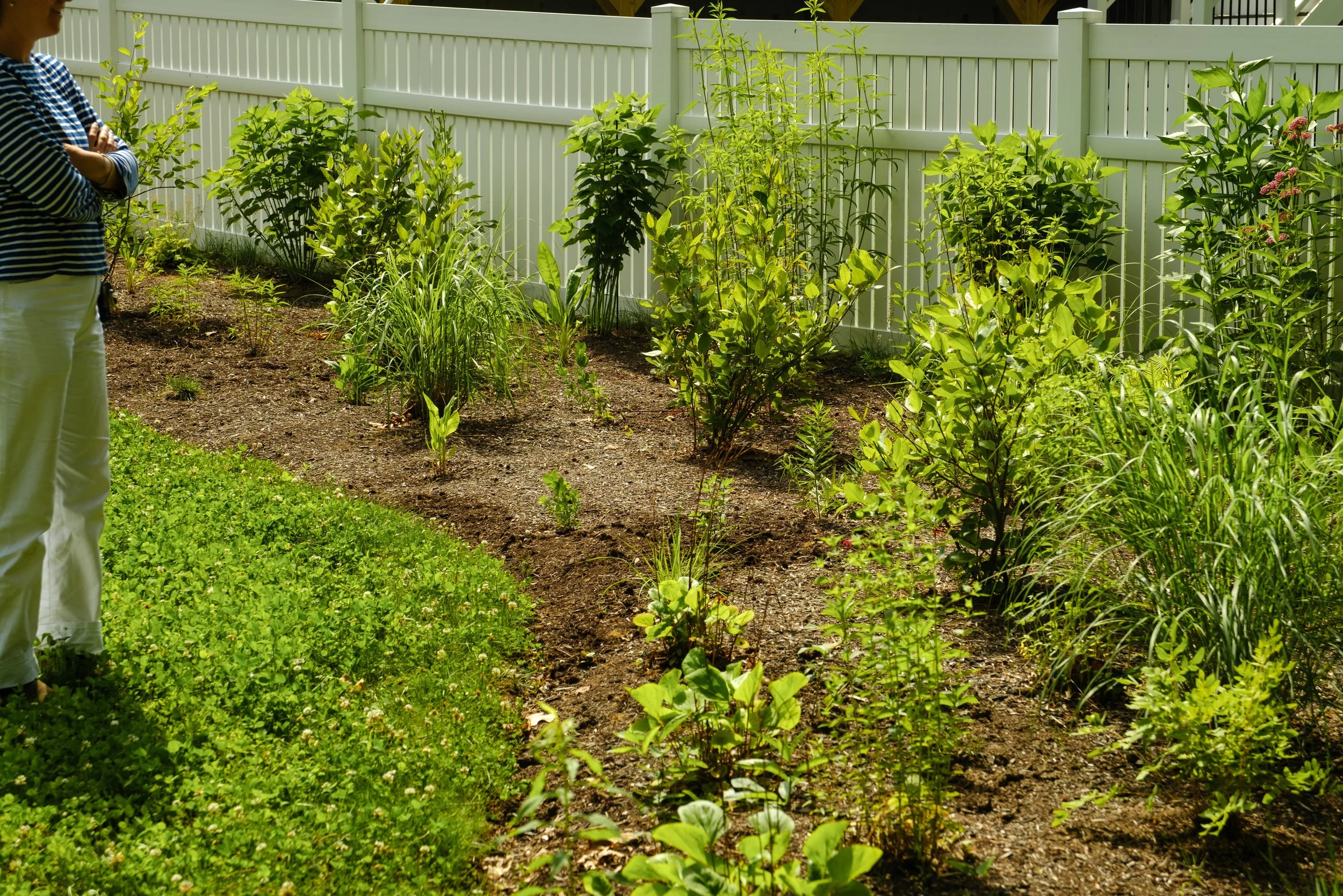 Backyard Birder's Paradise