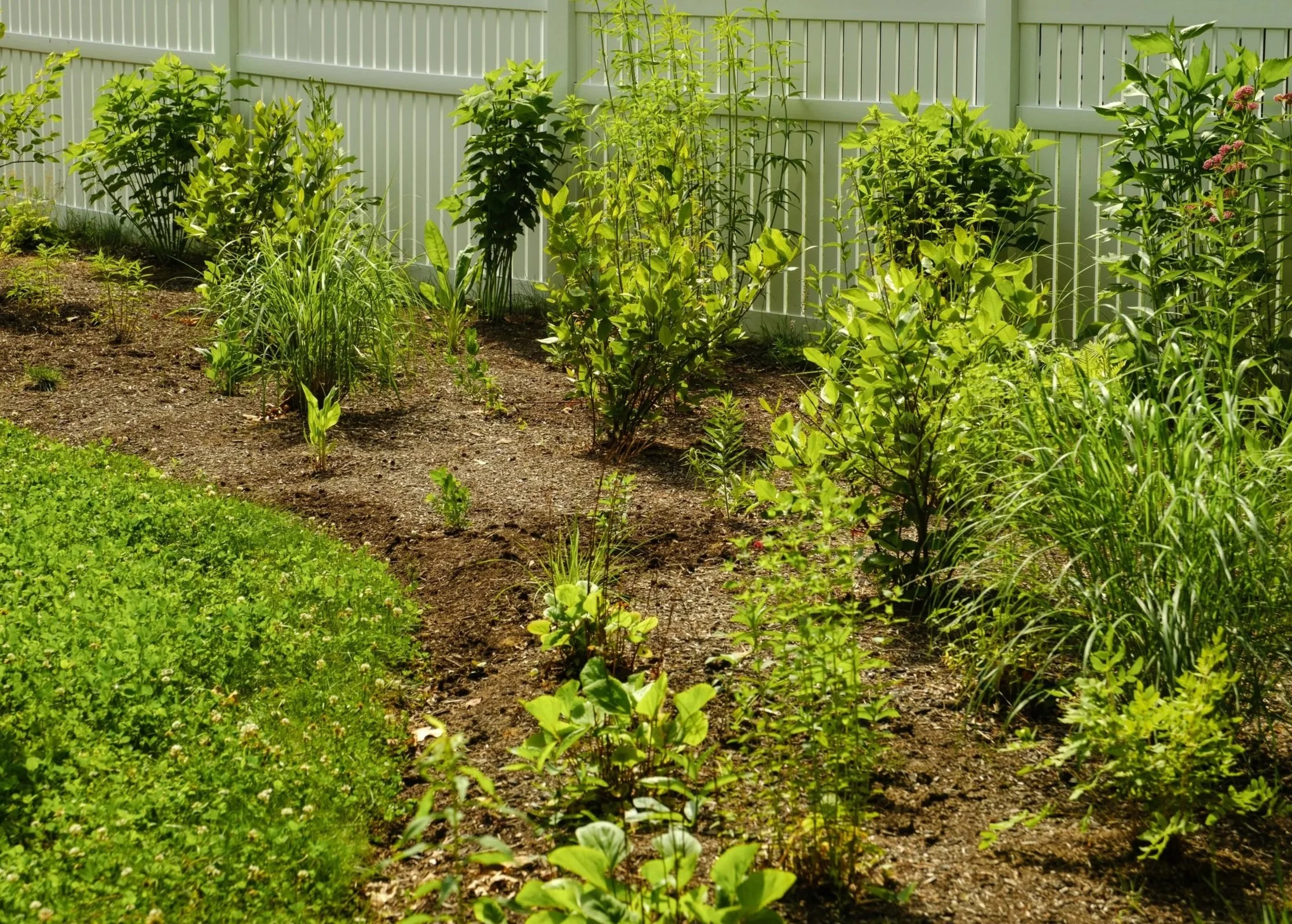 northeast keystone planting design in the wilton sand plains