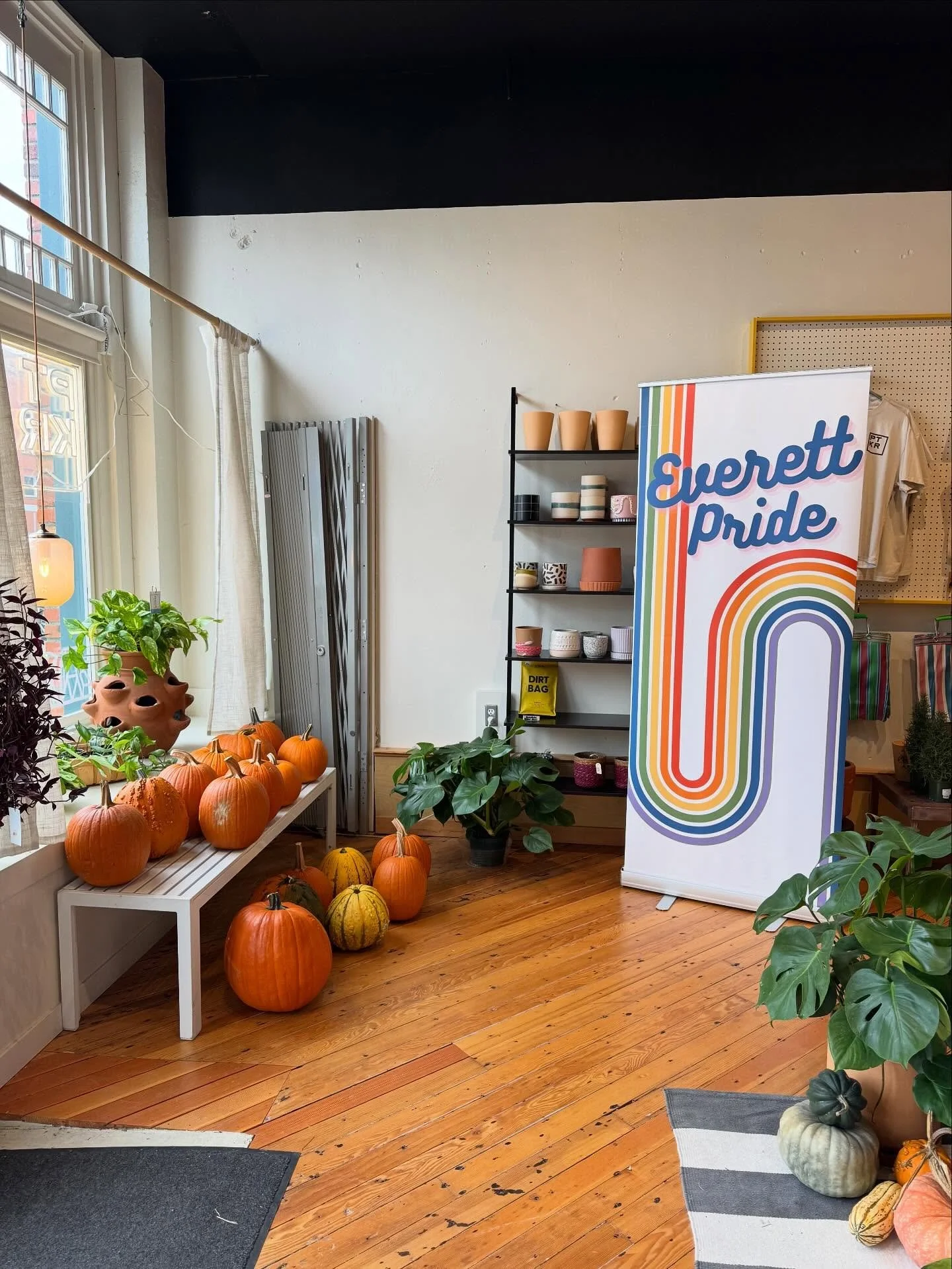 Carving pumpkins today! If you signed up, come carve!