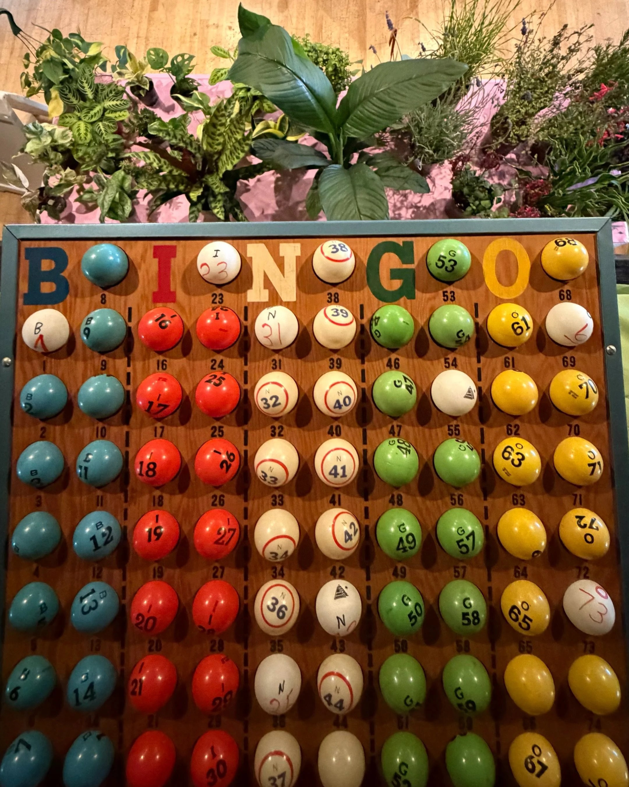 We felt the love tonight! Thank you to everyone that came out to our first Drag Plant Bingo! We love you! Raise your hand in the comments if we should host another? 🙋🏼🙋🏽&zwj;♀️🙋🏿&zwj;♂️ 

This event was made possible by our amazing friends over