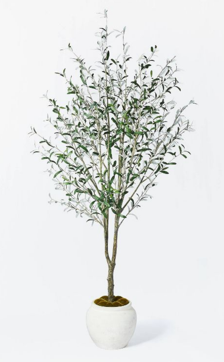Threshold - Olive Tree.png