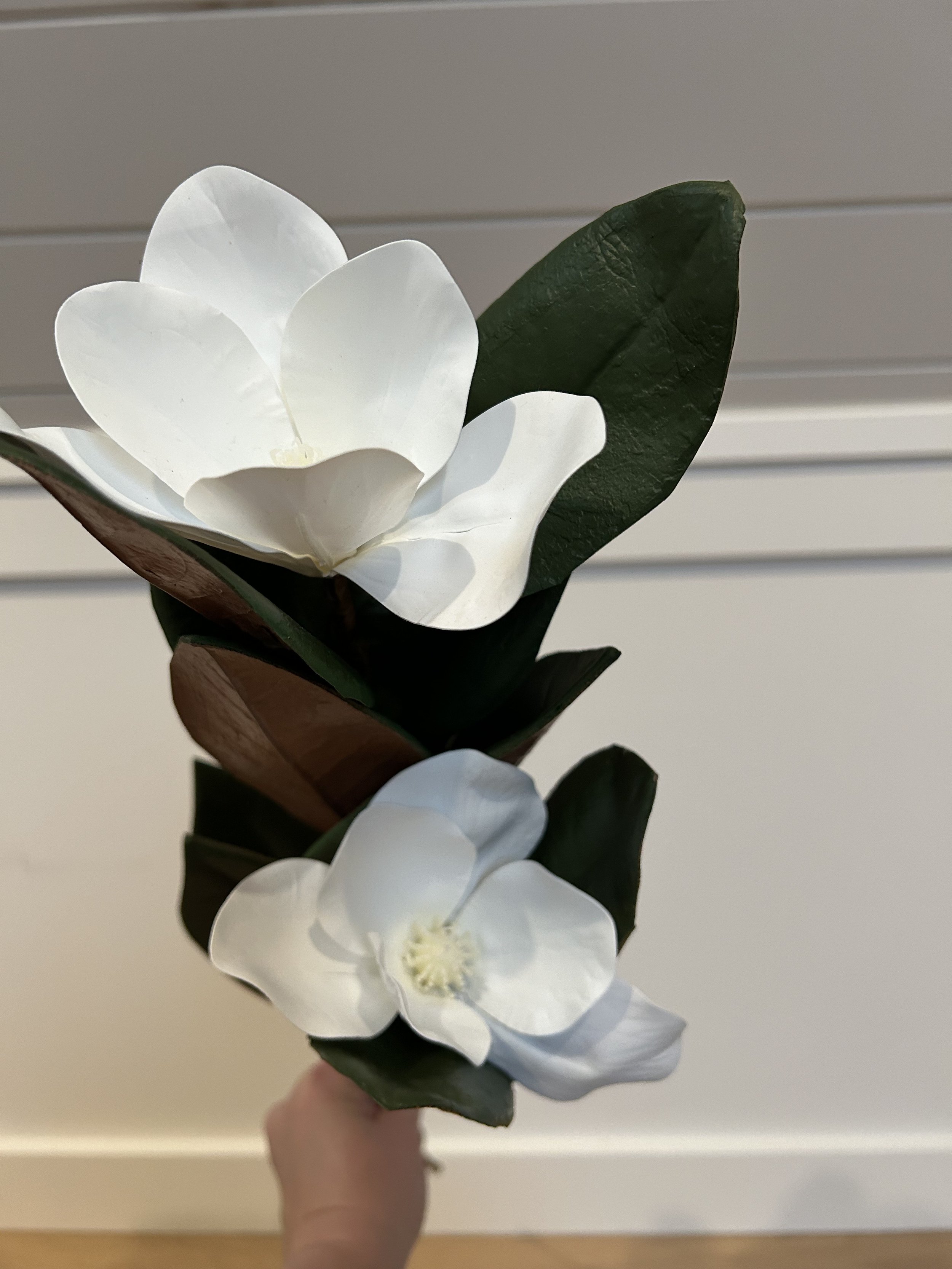 IMG_5825.jpeg