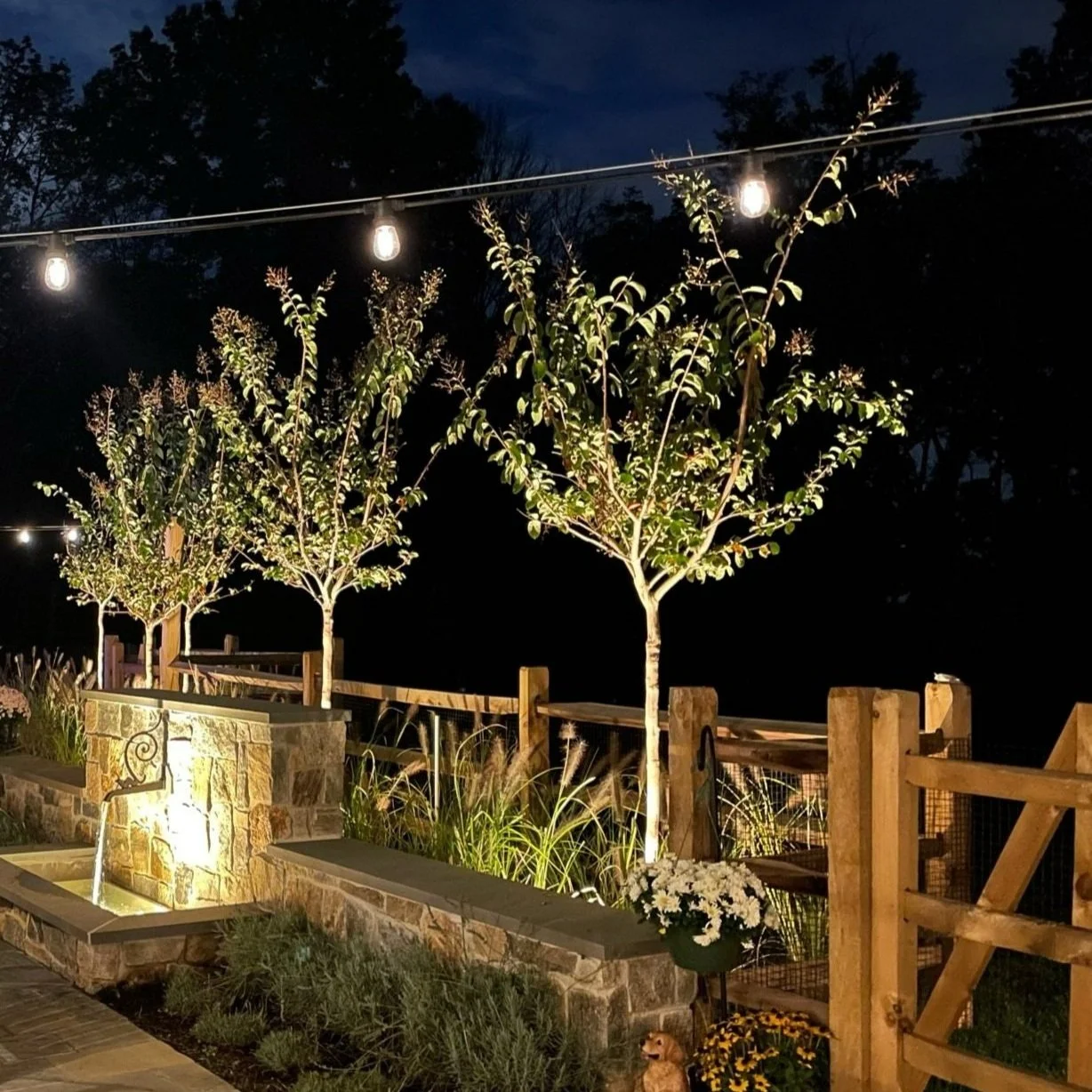 Landscape Lighting In NJ NatureScape Lighting + Audio — DIY vs