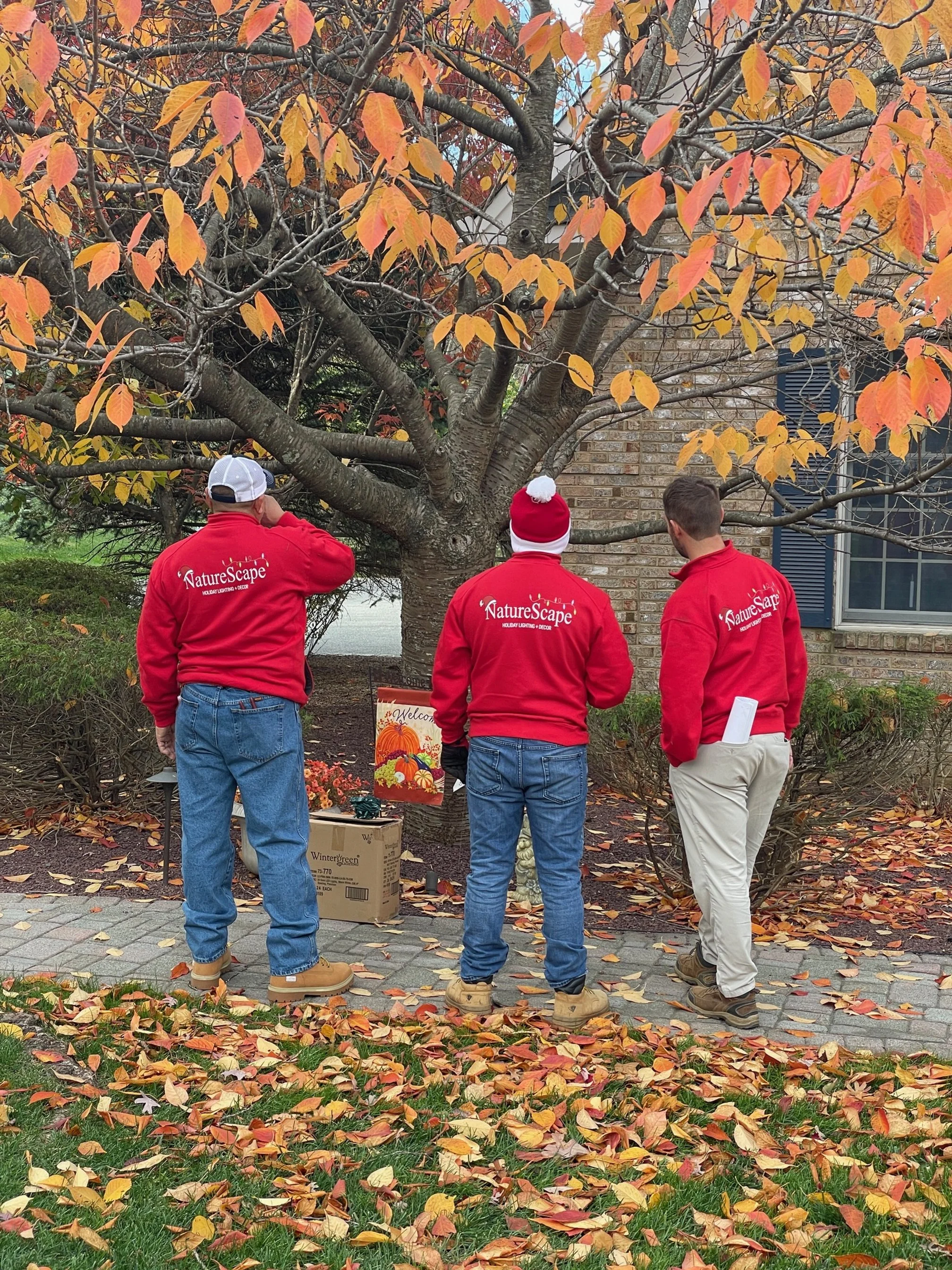 NatureScape-holiday-lighting-installation-crew