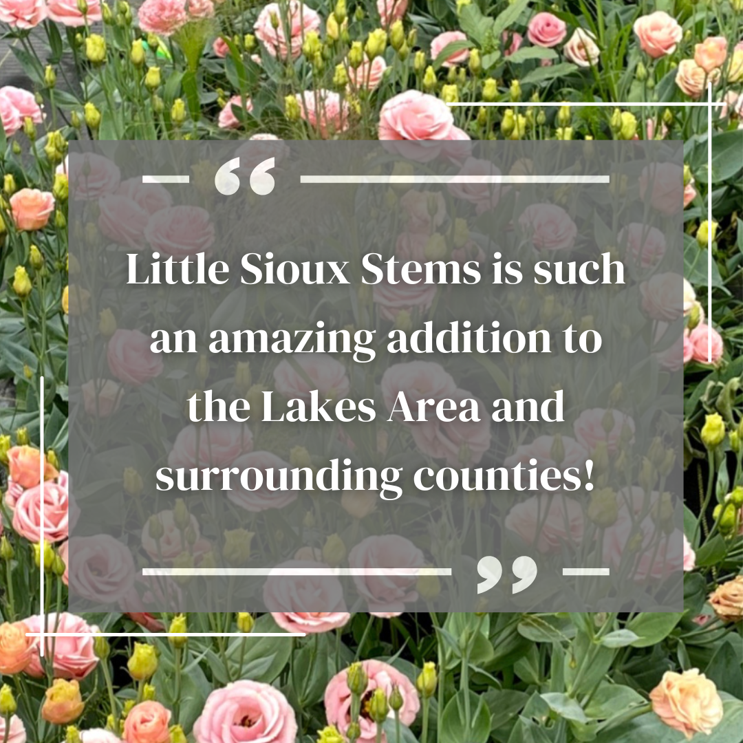 Little Sioux Stems