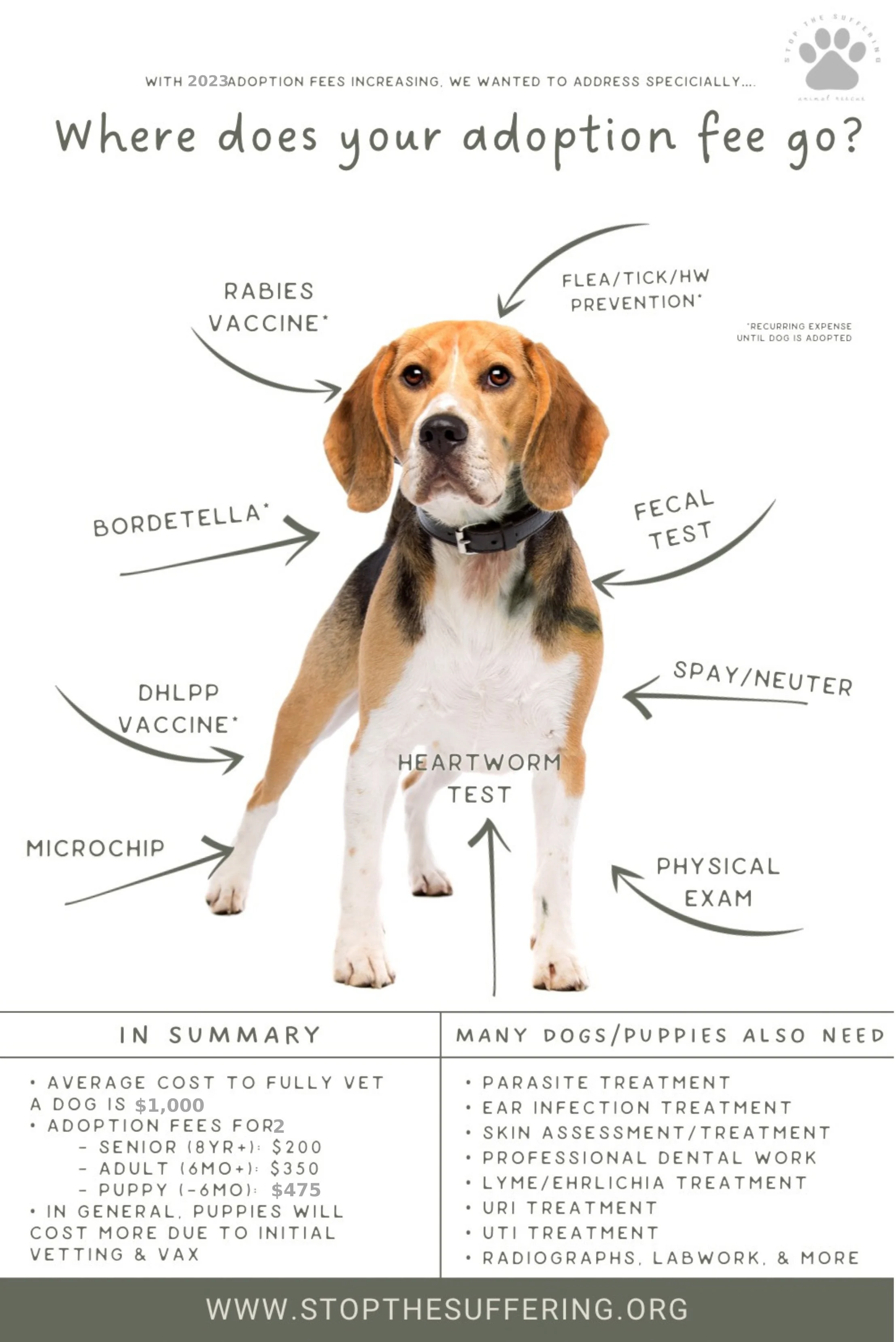 Adoption Process — Stop The Suffering Animal Rescue