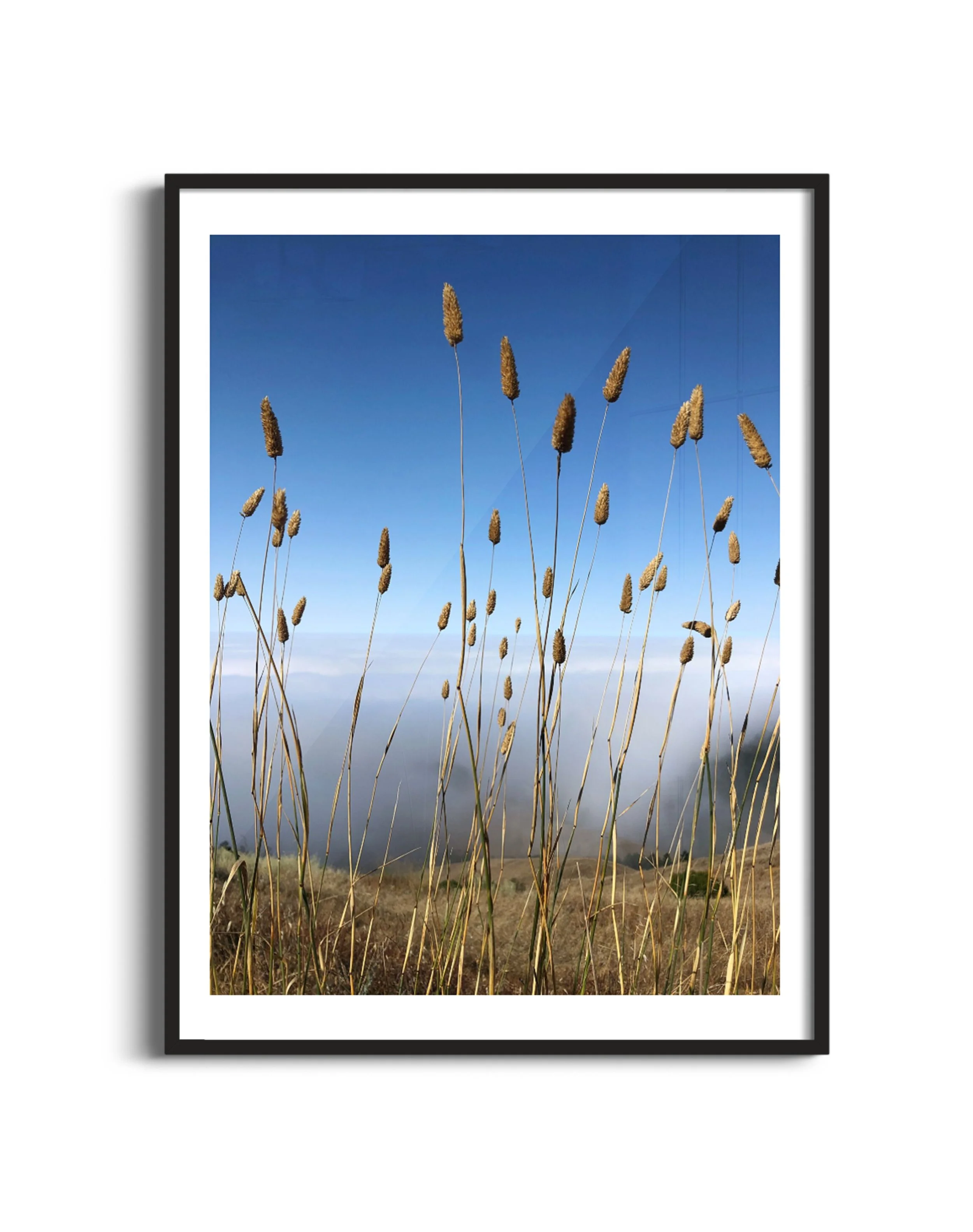 Tall-grass-m-blk.jpg