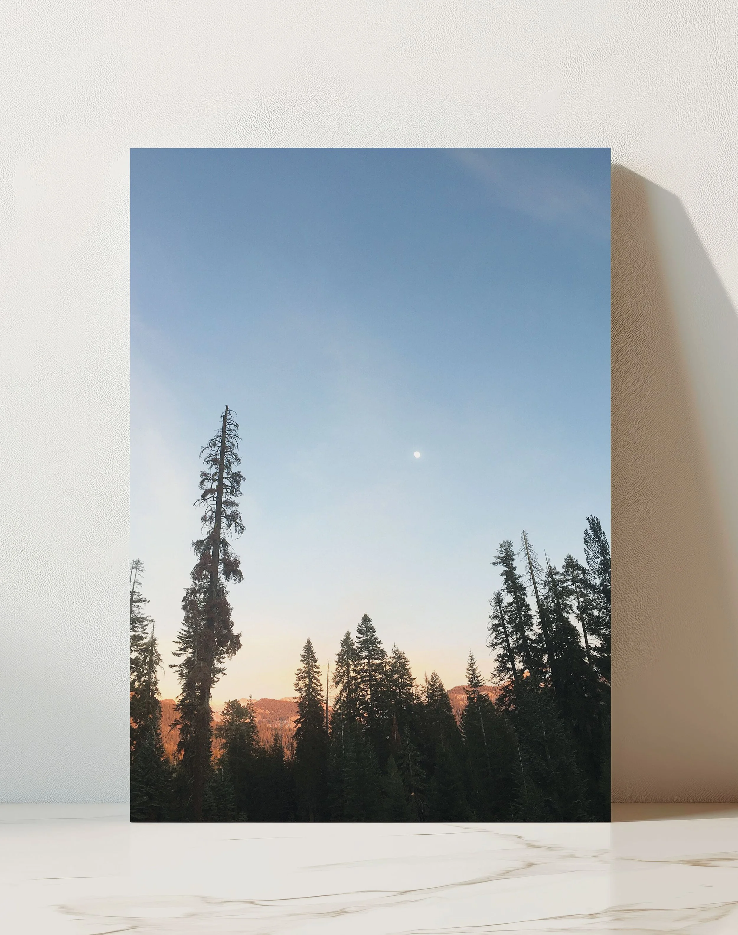 twilight-print.jpg
