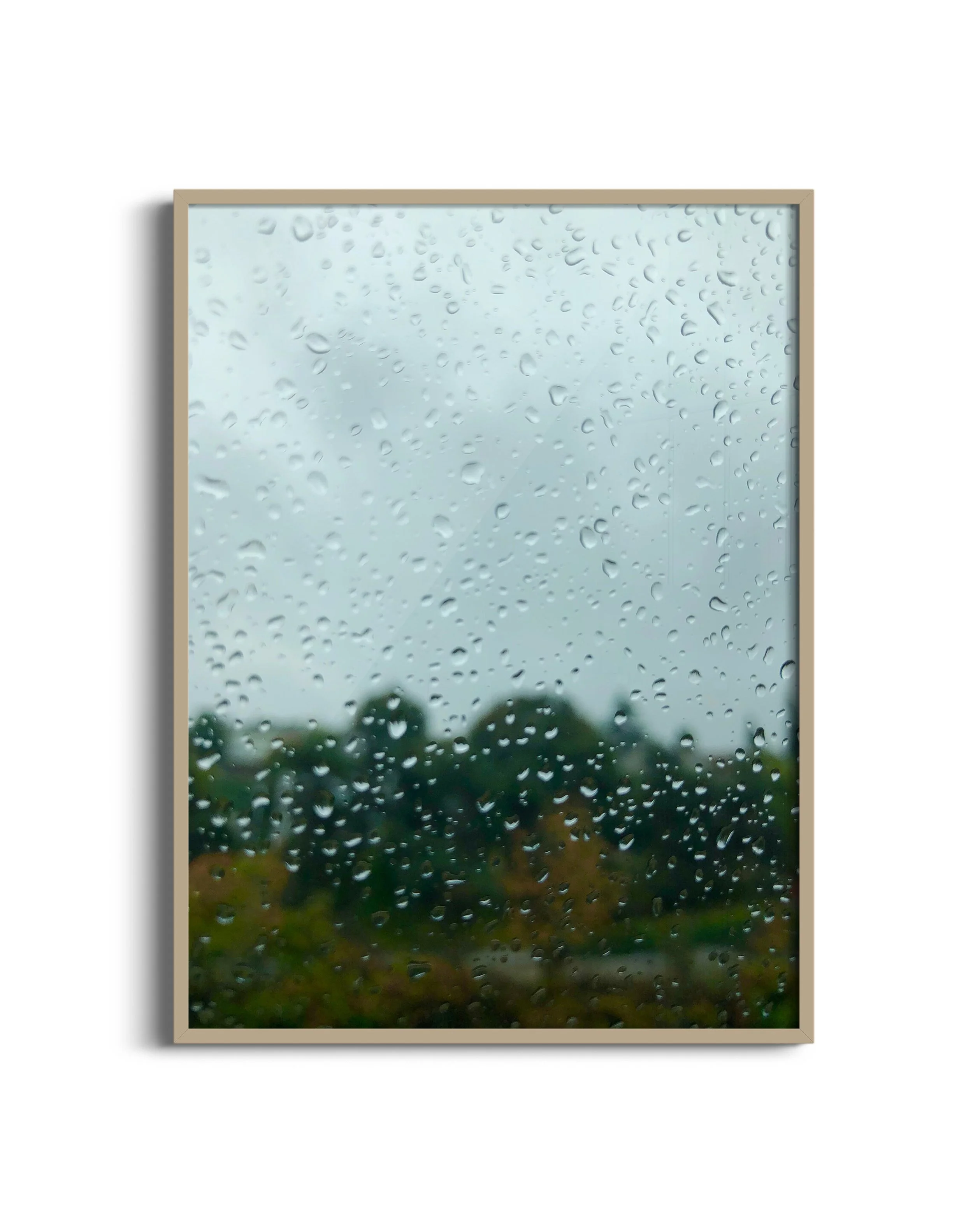 Raindrop-NB-oak.jpg