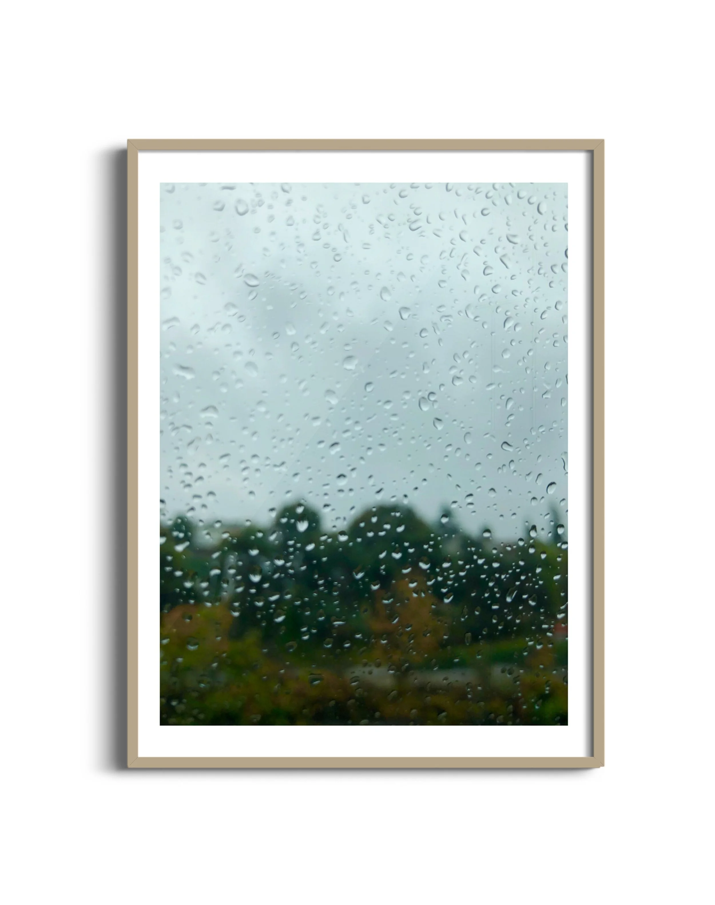 Raindrop-m-oak.jpg