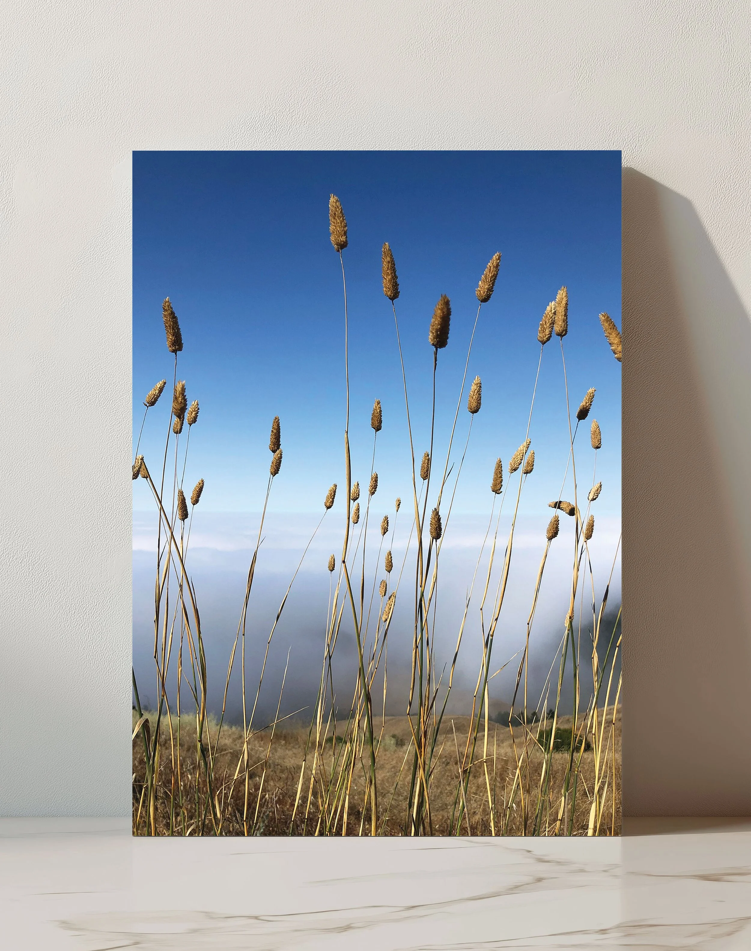 tallgrass-print.jpg