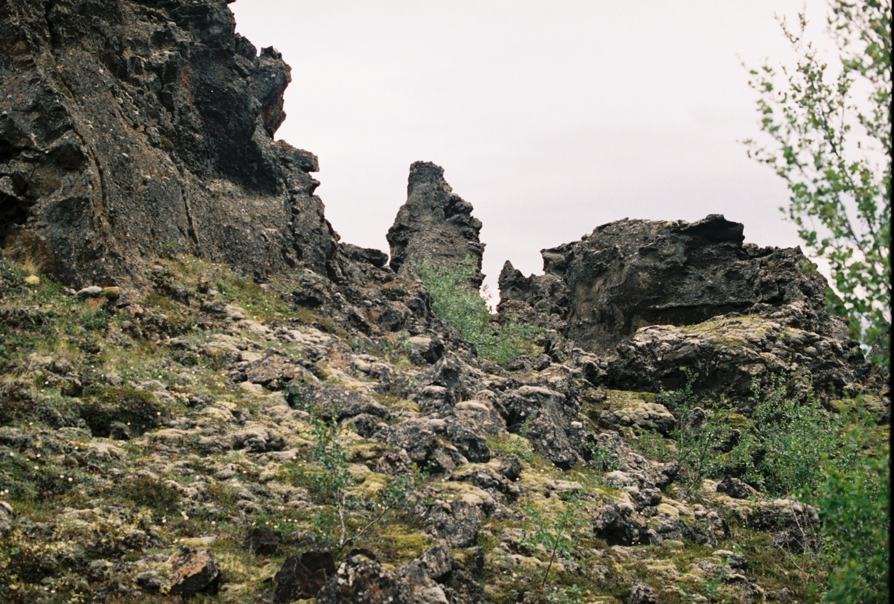 R1-00593-0033.JPG
