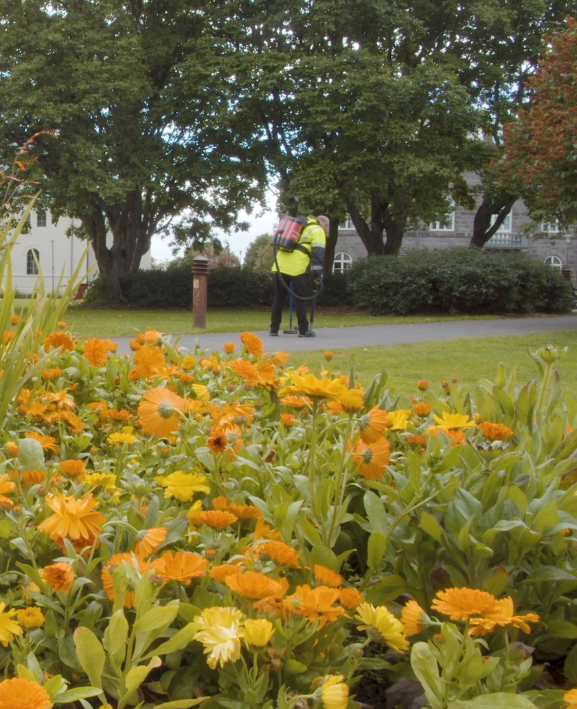 Screenshot 2023-09-19 at 21.08.24.png