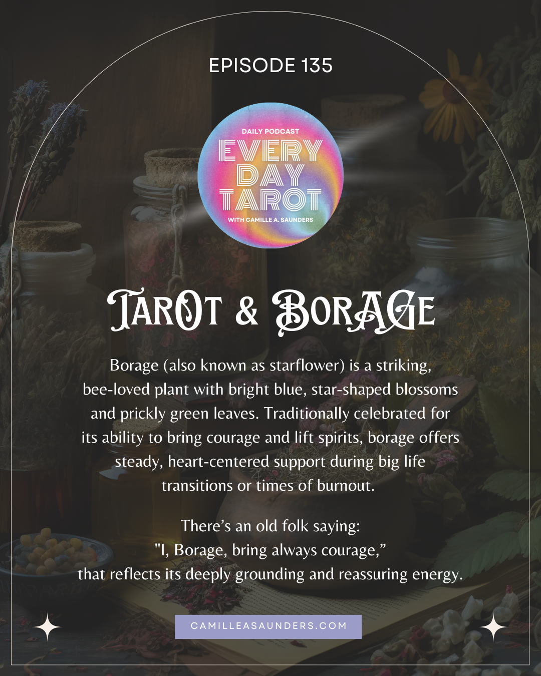 Tarot and Borage