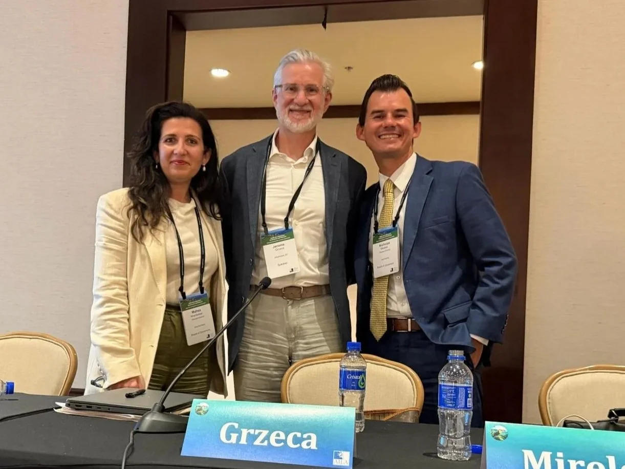 Speaking Announcement - AILA Midyear Conference