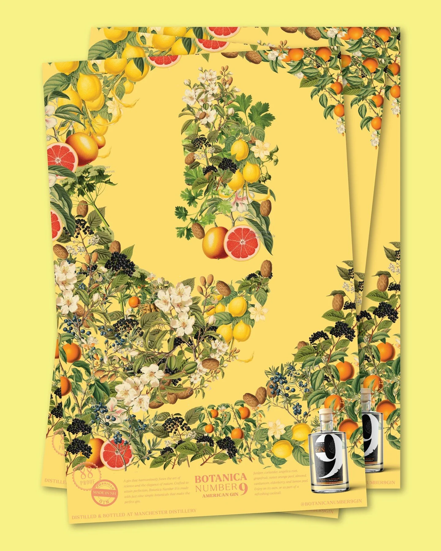 Drafting up some new product giveaways. What do you think of these posters modeled on vintage botanical illustrations?