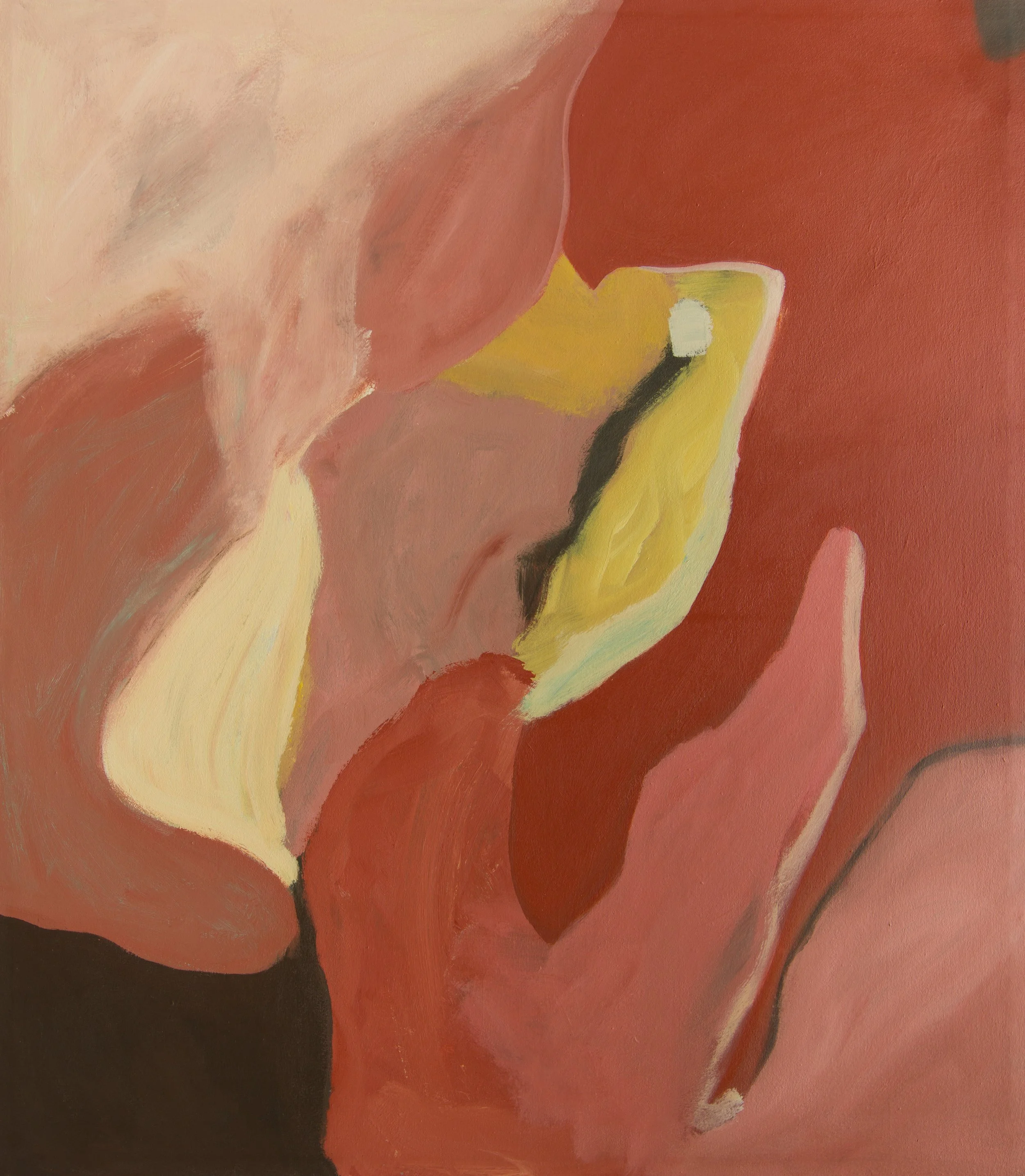 Baez_2024_1087_Canvas_35X40..jpg