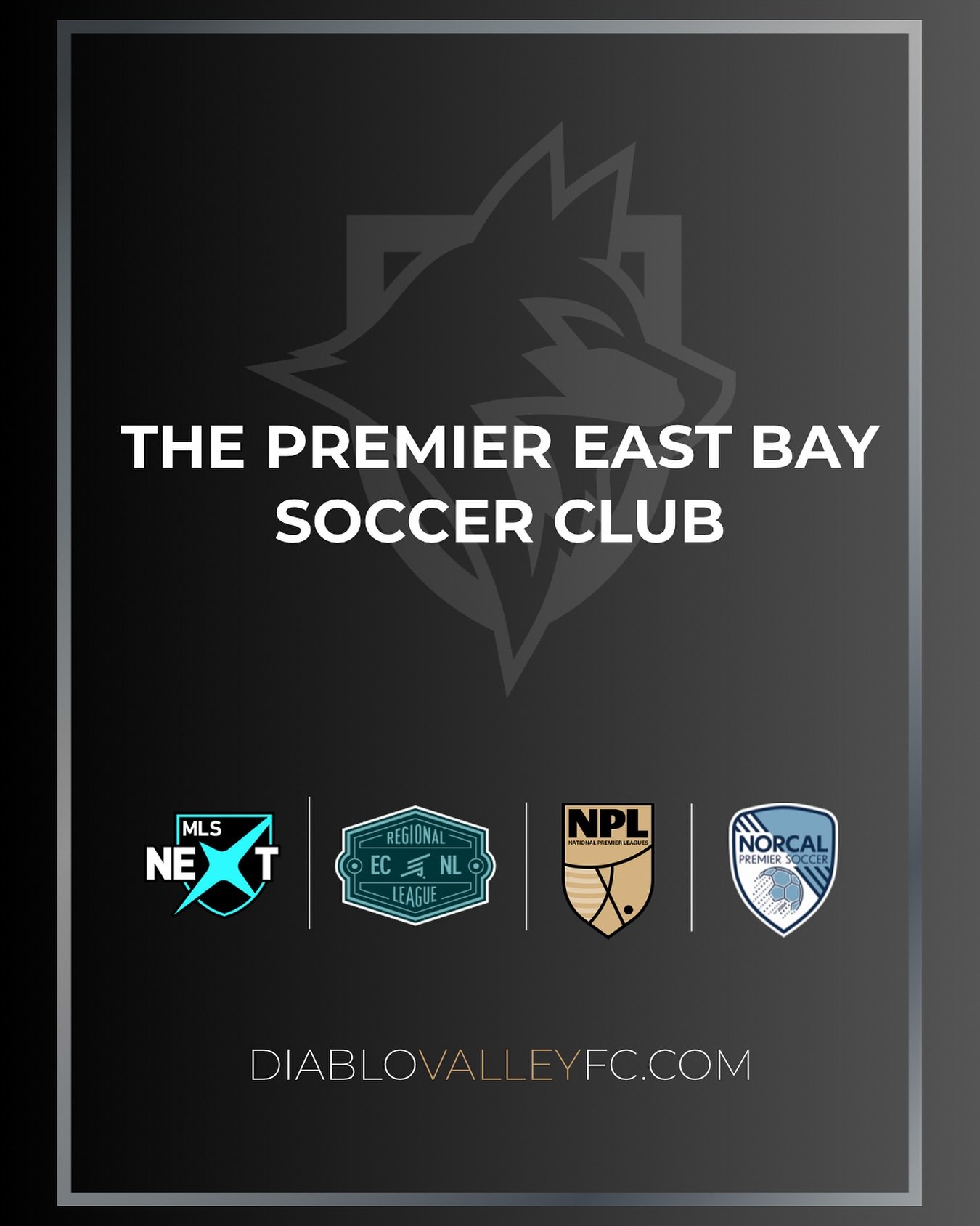 DVFC is a club focused on player development.&nbsp; With our knowledgeable and experienced coaching staff, we can take your game to the next level. 

#WEAREWOLVES 🐺