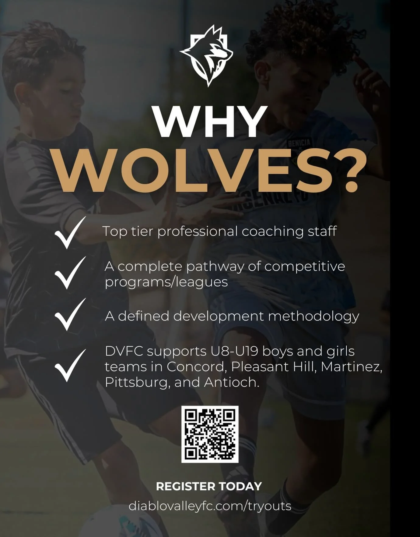 WHY WOLVES? 

Because development is at the core of everything we do.

At DVFC, our players are coached by experienced professionals, guided through a complete pathway of competitive programs, and developed with a clear, proven methodology &mdash; al