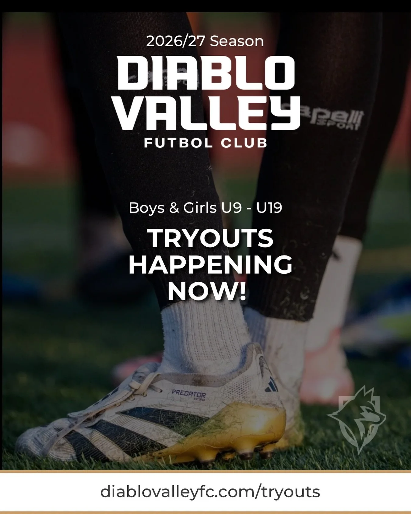 DVFC Tryouts - A great opportunity for players still searching for the right environment to compete and earn a roster spot for the 2026/27 season. Players will be evaluated and placed within the appropriate level of our club pathway.

Limited spots r
