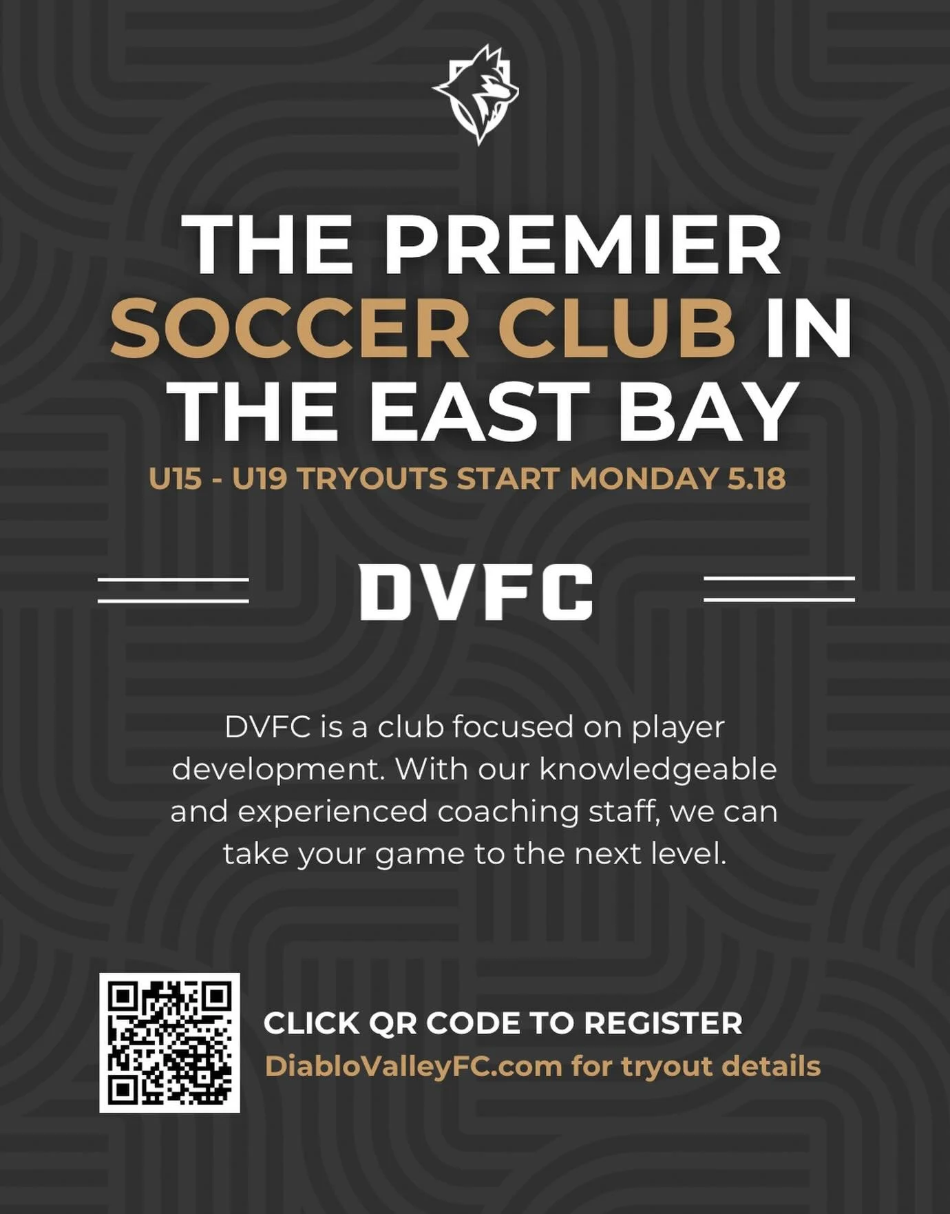 More than a club. More than a team. 

At DVFC, we&rsquo;re committed to developing players in an environment built around growth, competition, and opportunity. With experienced coaches, strong pathways, and a player-first approach, we help athletes r