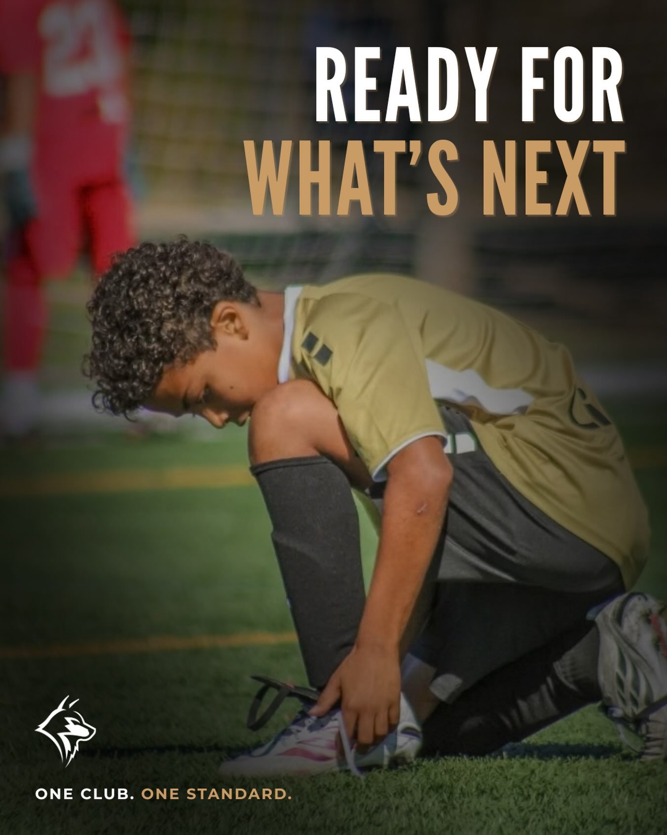 Ready for what&rsquo;s next. 

Every training session. Every challenge. Every opportunity to get better.

Keep working. Keep growing. Keep raising the standard.

#DiabloValleyWolves #OneClubOneStandard