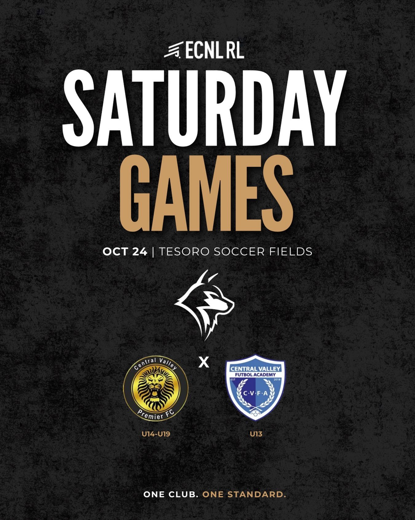 It&rsquo;s a full day of soccer at Tesoro! Our Diablo Valley Wolves ECNL RL boys are back in action this Saturday, October 24, with six home matches!

MATCH SCHEDULE

U13 | 3 PM vs. Central Valley FA
U14 | 3 PM vs. Central Valley Premier FC
U15 | 1 P