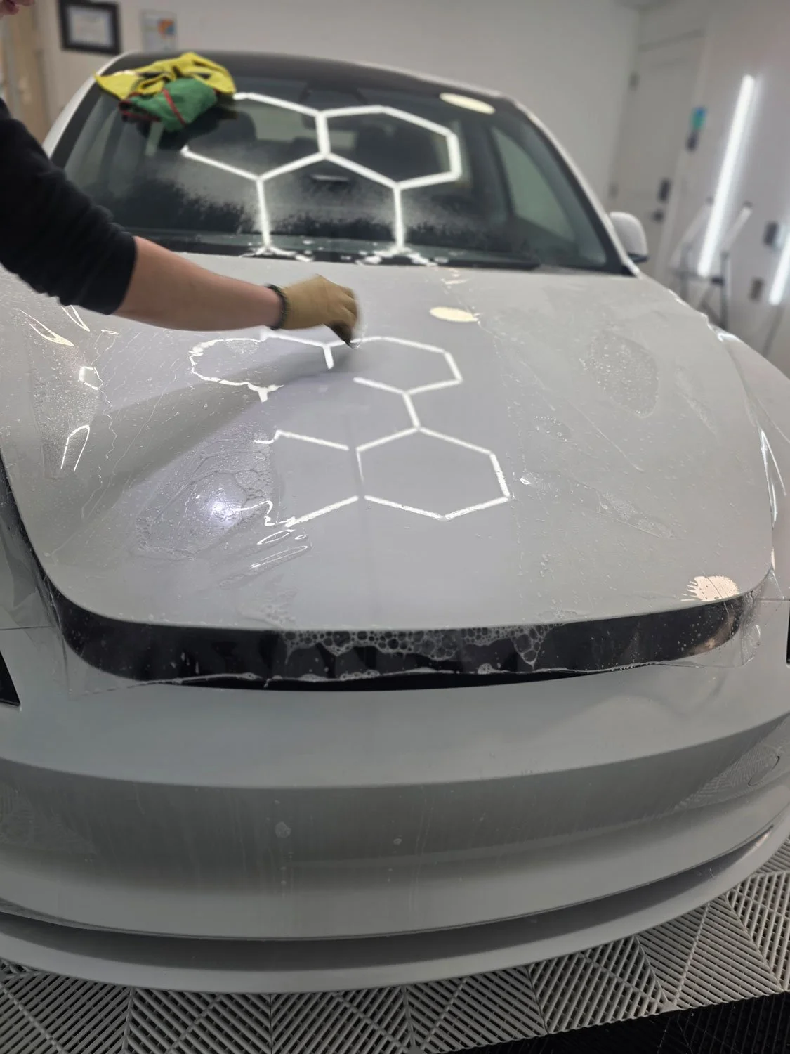 Lion-Exterior-car-paint-protection-film-vancouver-burnaby5.jpg