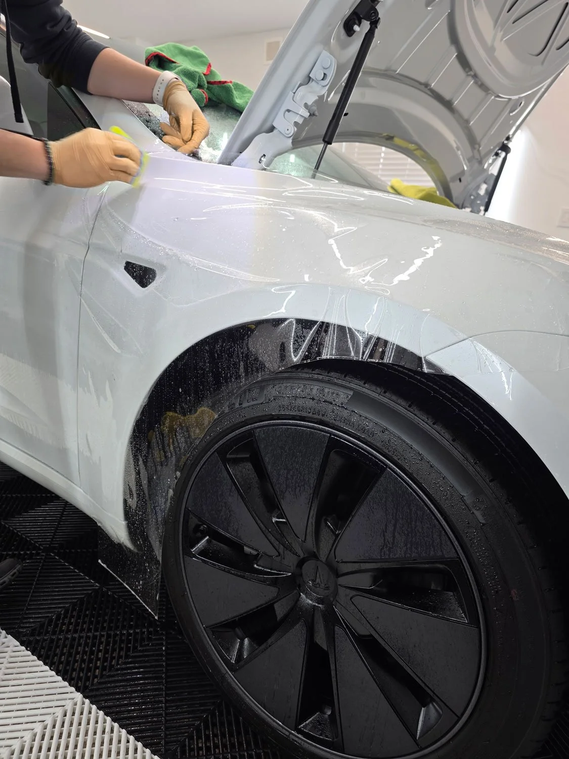Lion-Exterior-car-paint-protection-film-vancouver-burnaby3.jpg