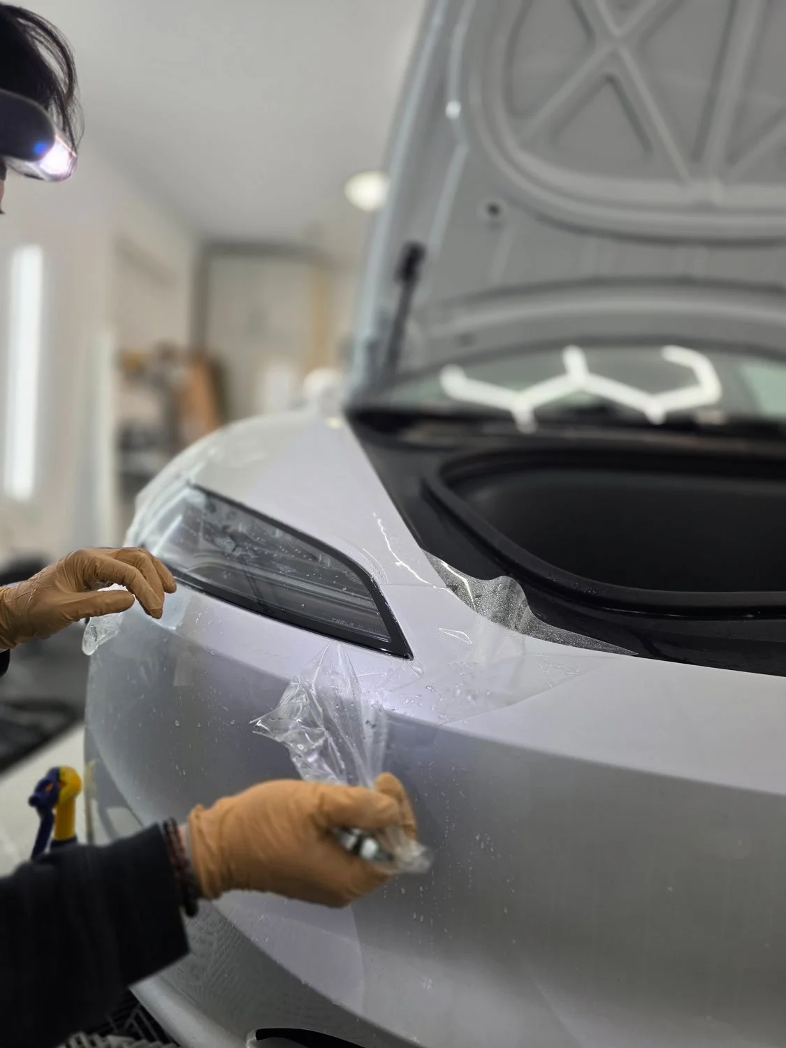Lion-Exterior-car-paint-protection-film-vancouver-burnaby4.jpg