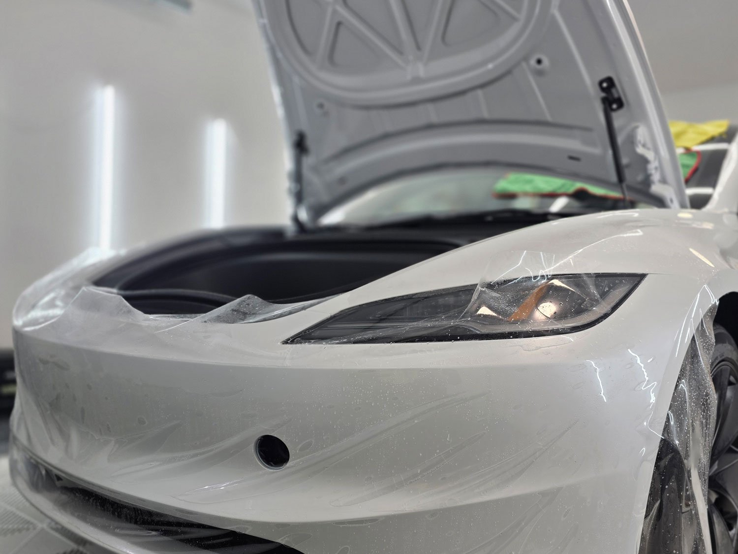 Lion-Exterior-car-paint-protection-film-vancouver-burnaby2.jpg