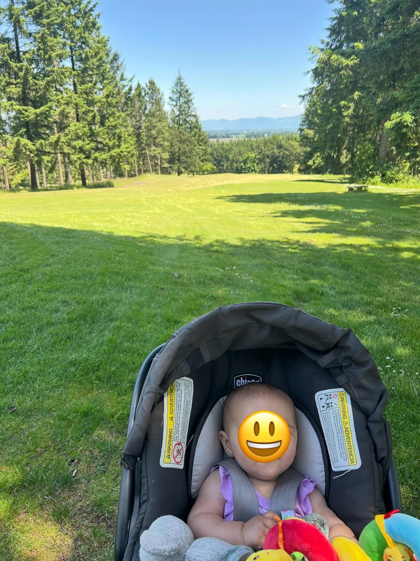 This summer has been all about Remi trying new things, being super active, and growing the clinic! That means social media has been on the back burner. Time for a photo dump to check back in with you all!

🏌️&zwj;♀️Golfing with Remi
🎉Graduating fro