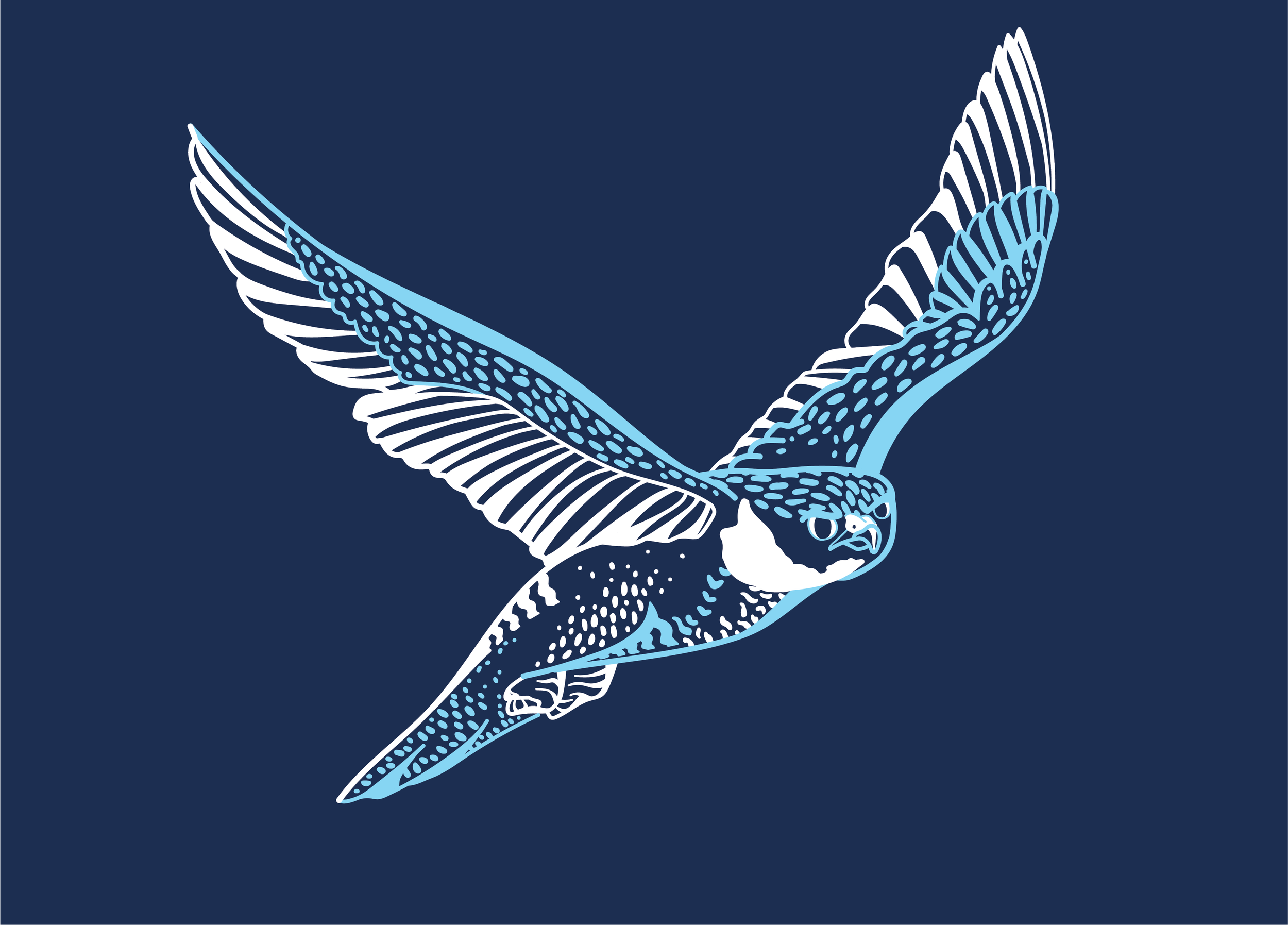 Blue Crew 20-21 Background.png