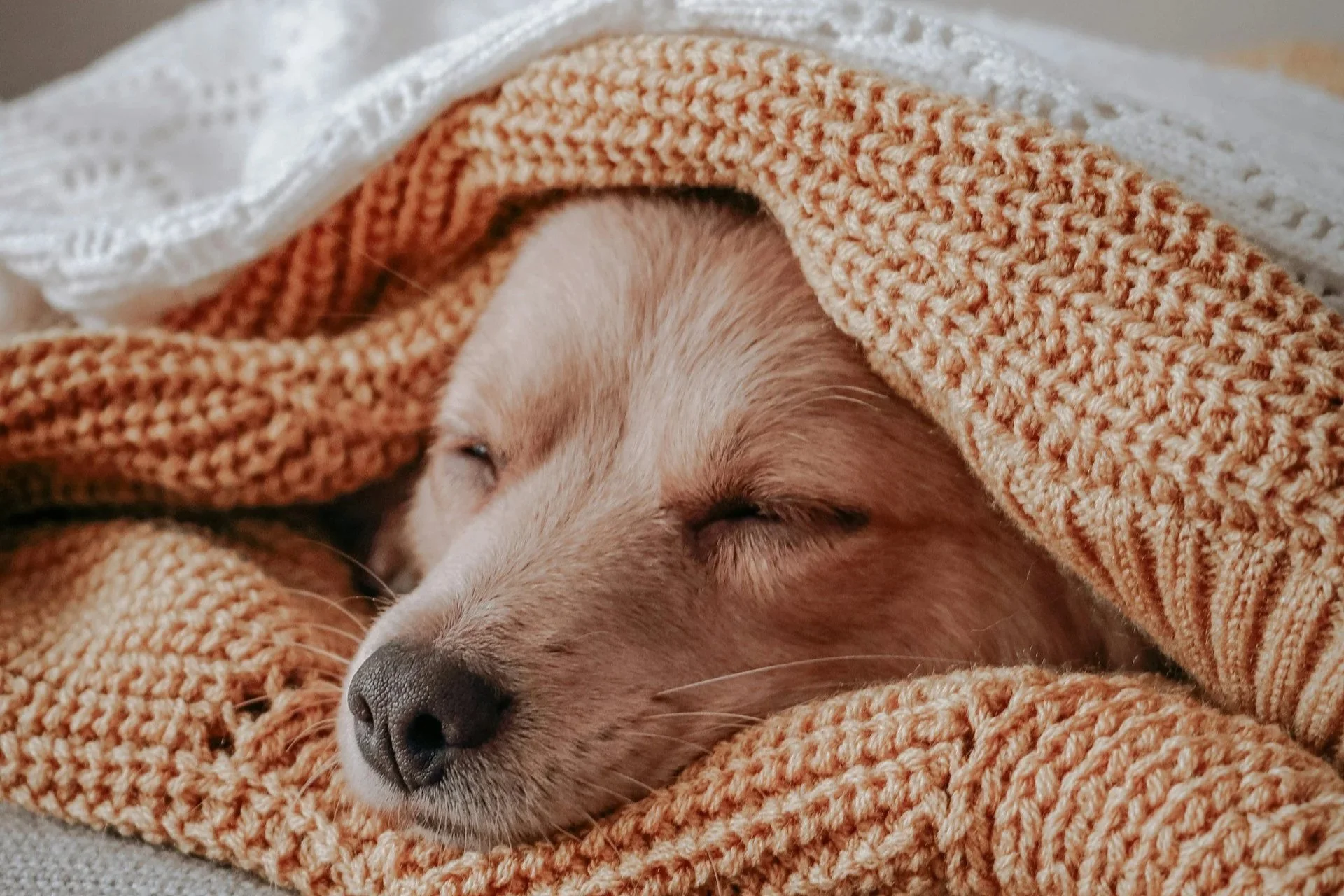 Sleep like it’s sacred