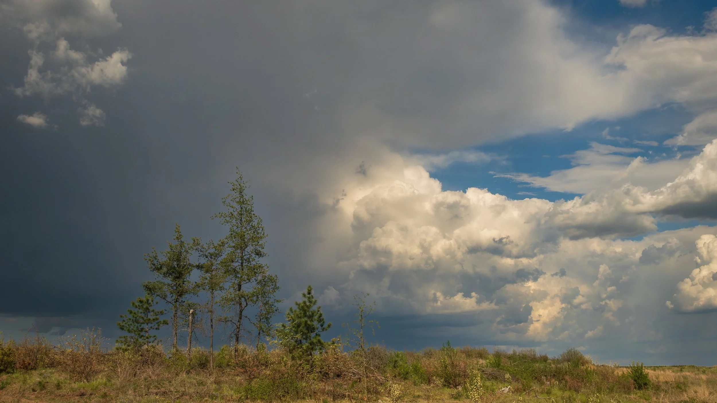 April 26, 2026, Crex Meadows Wildlife Area, Grantsburg, Wisconsin
