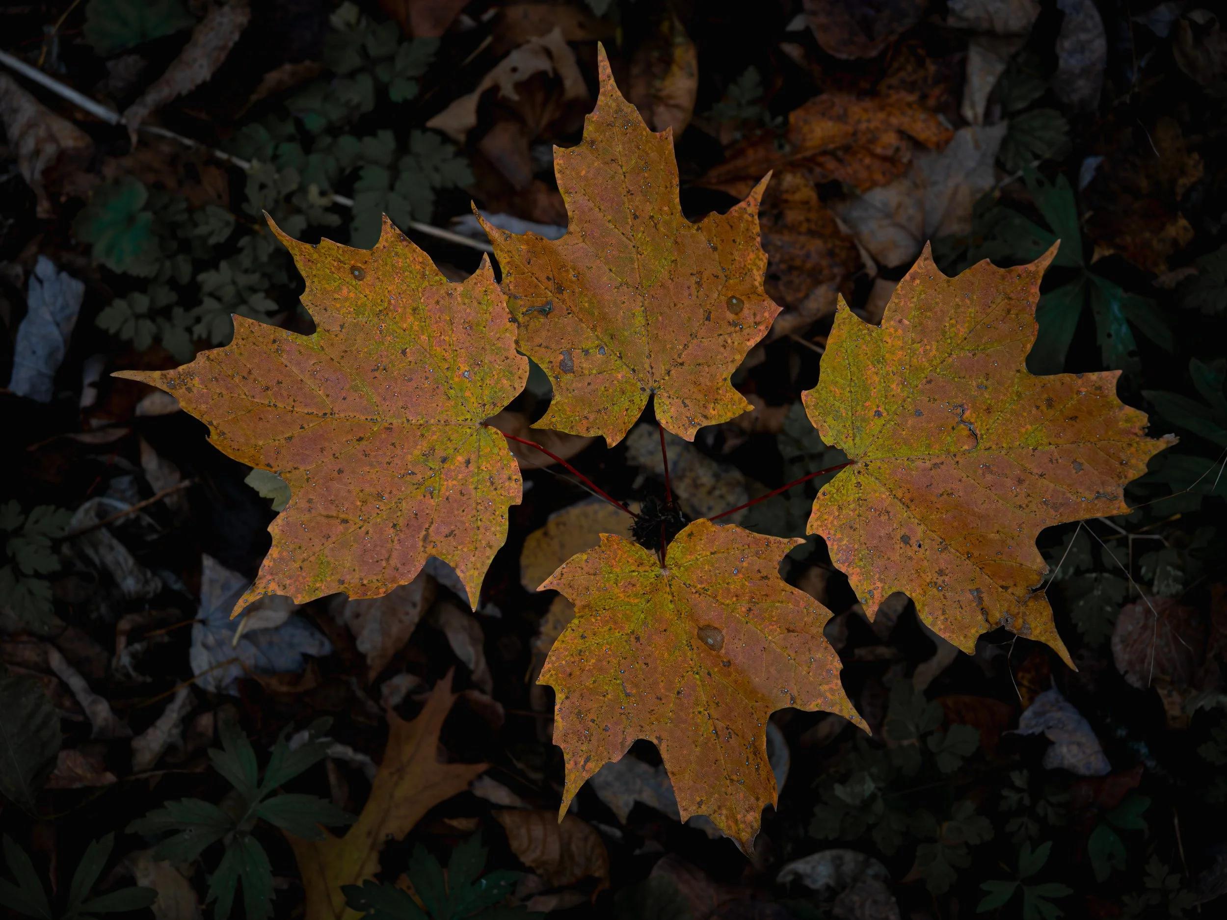 251025-67 Screen.jpg