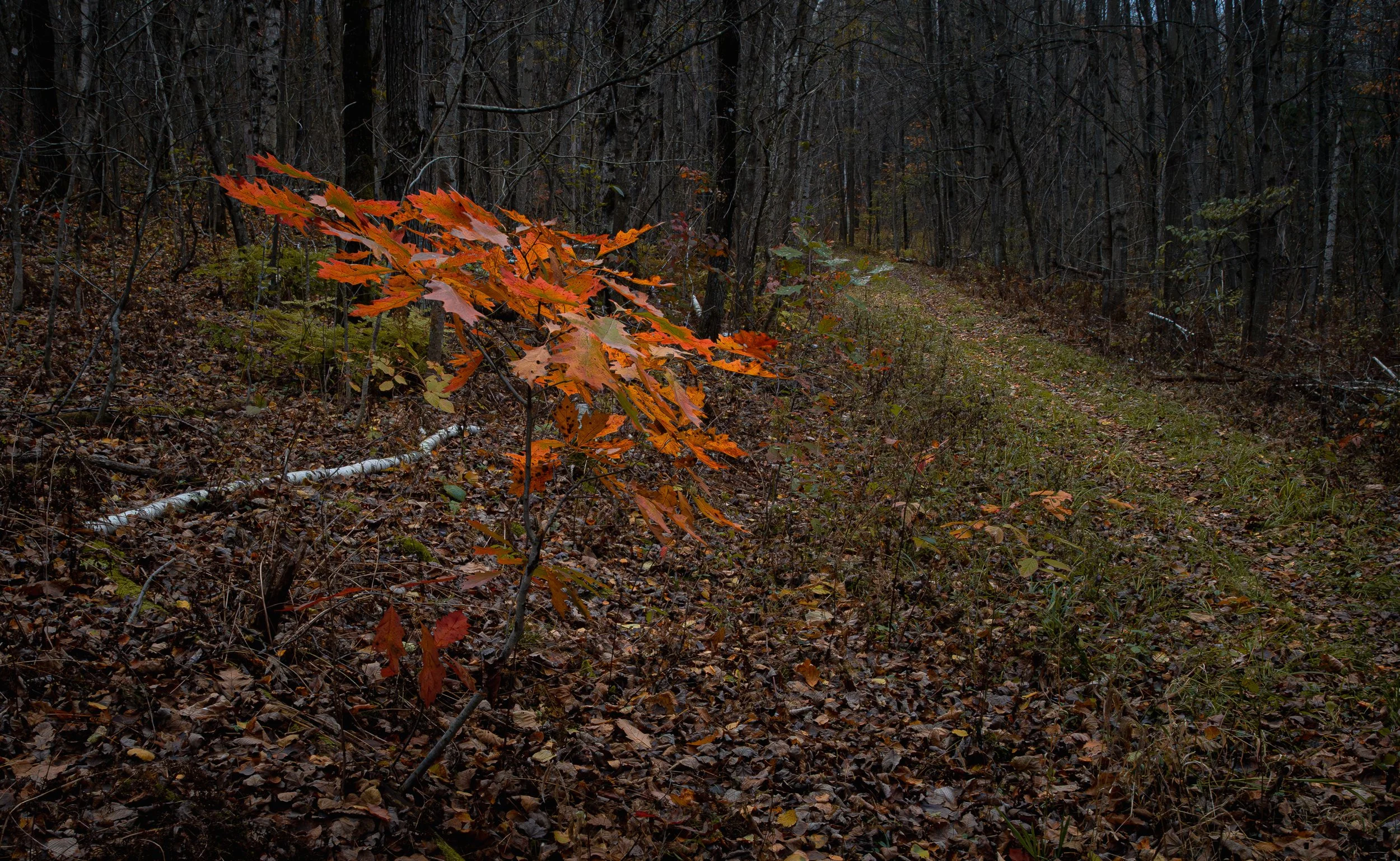 251025-60 Screen.jpg