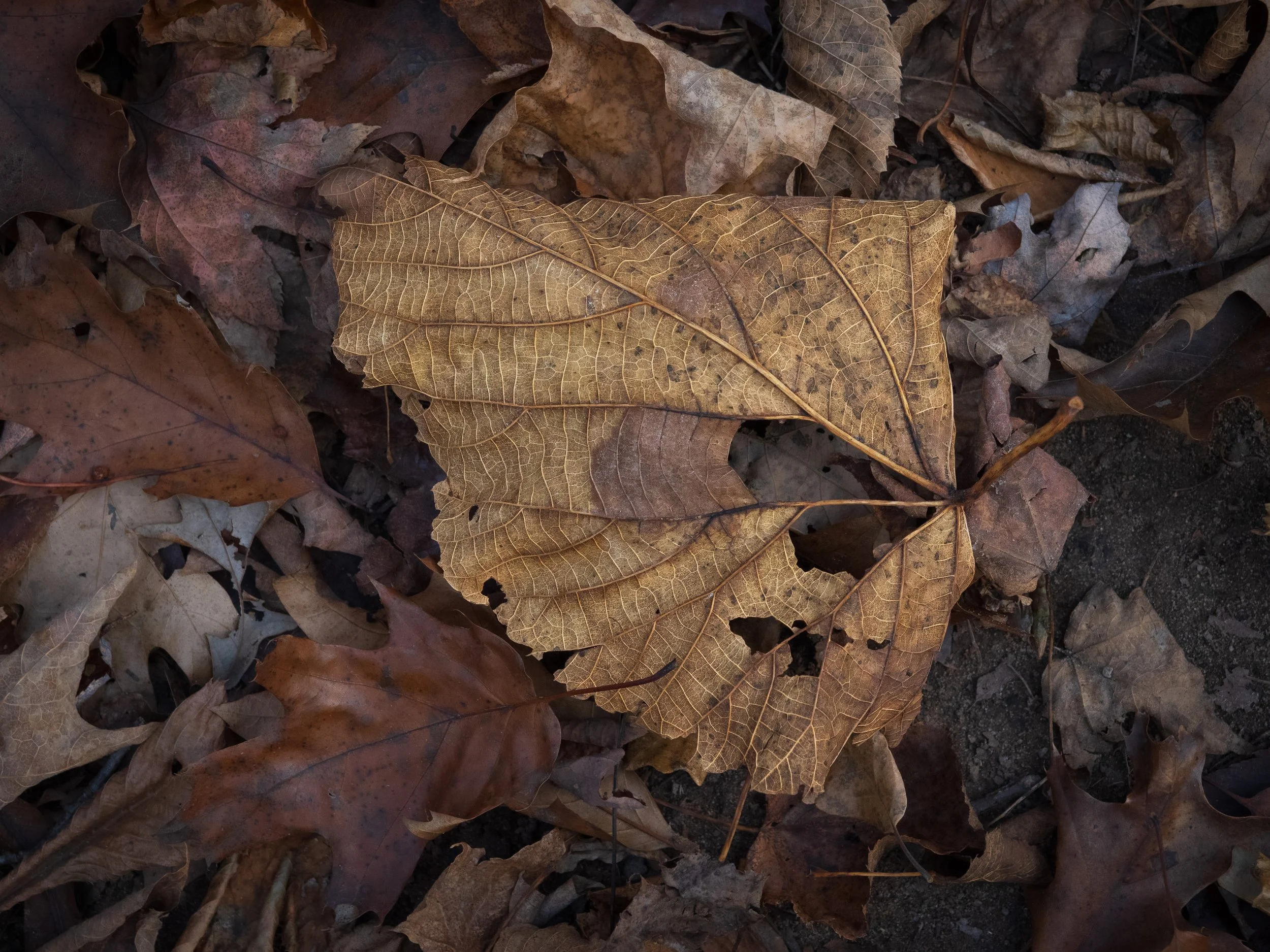 251025-34 Screen.jpg