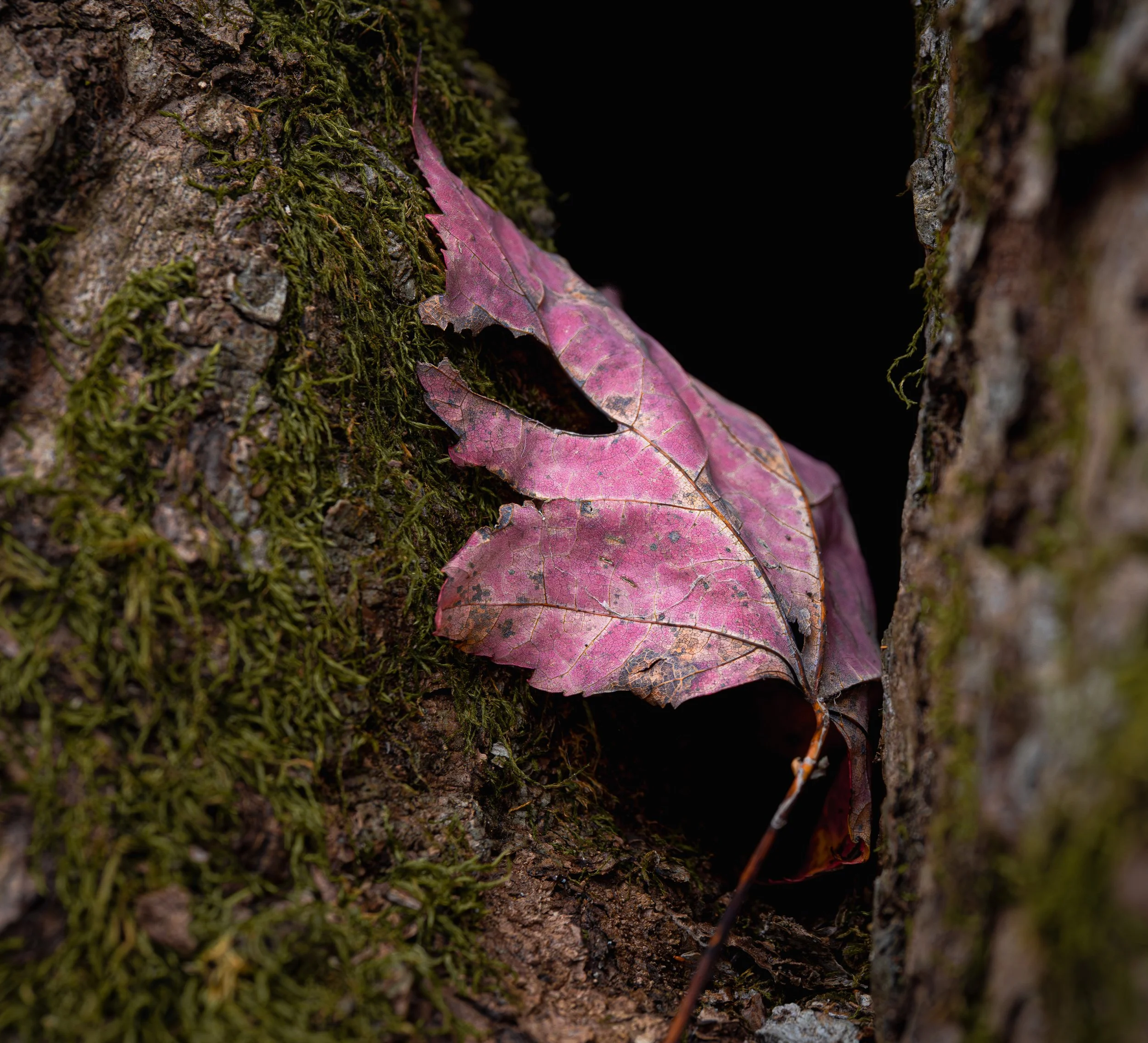 251025-30 Screen.jpg