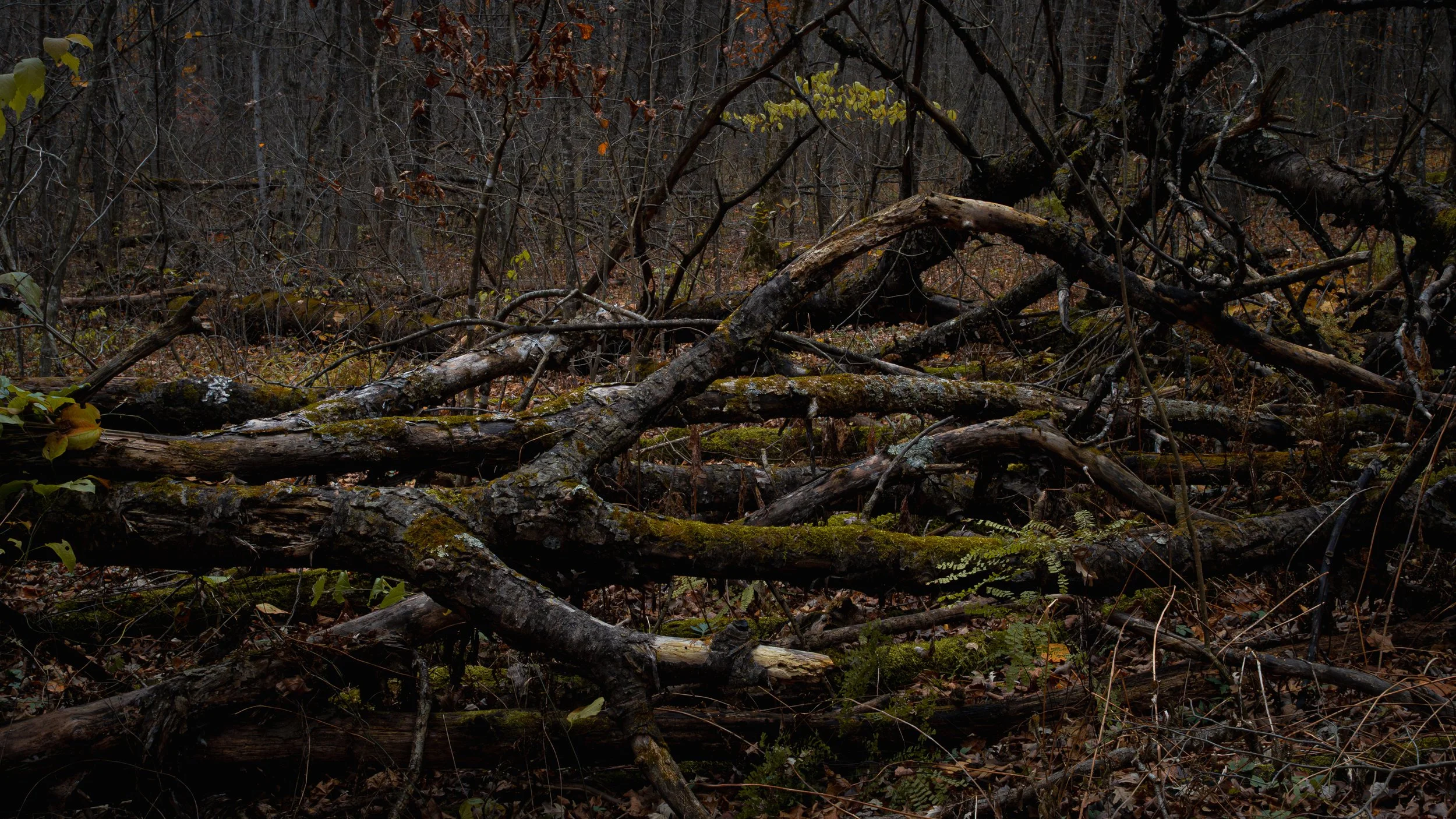 251025-20 Screen.jpg