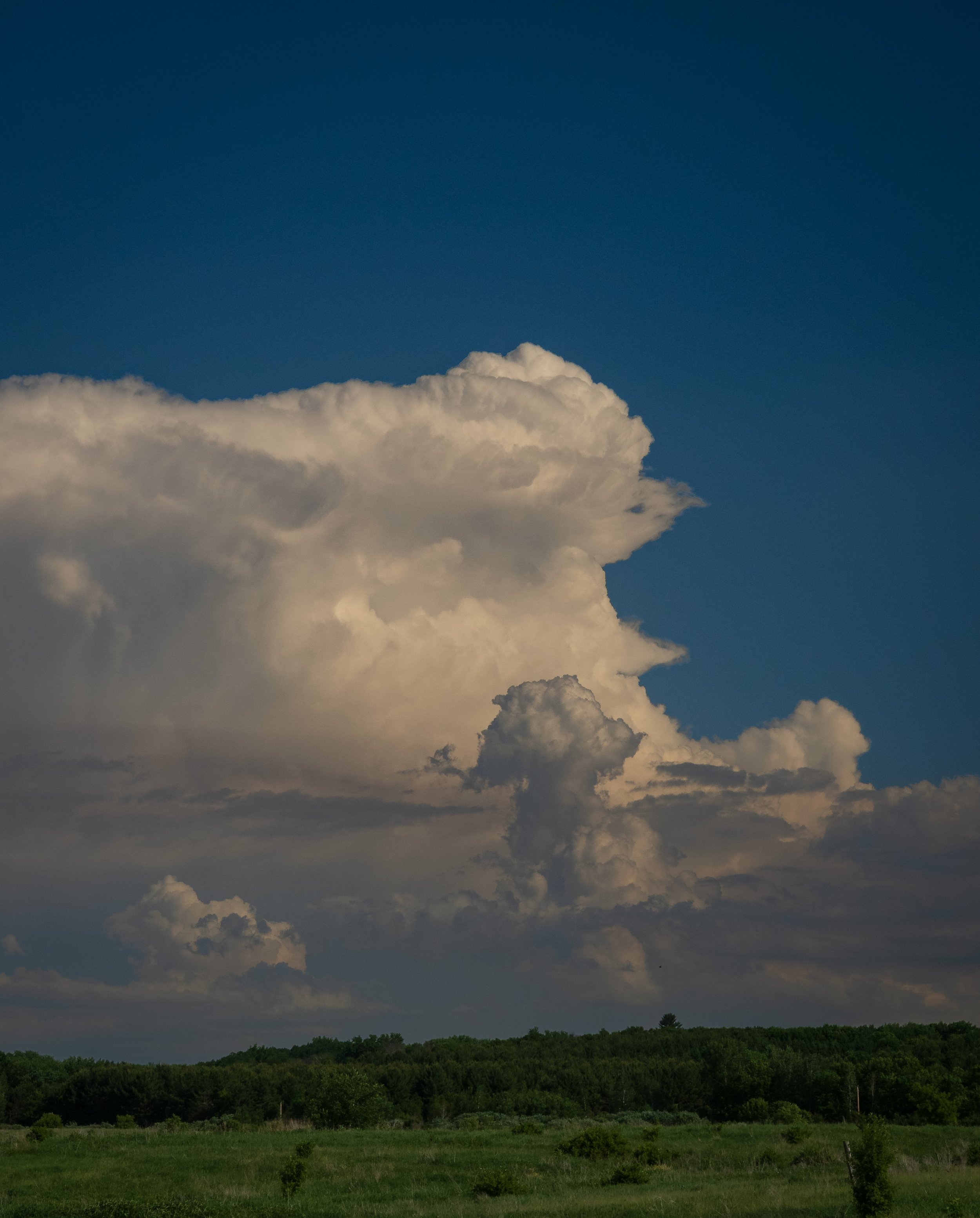 A Storm Followed Me Home