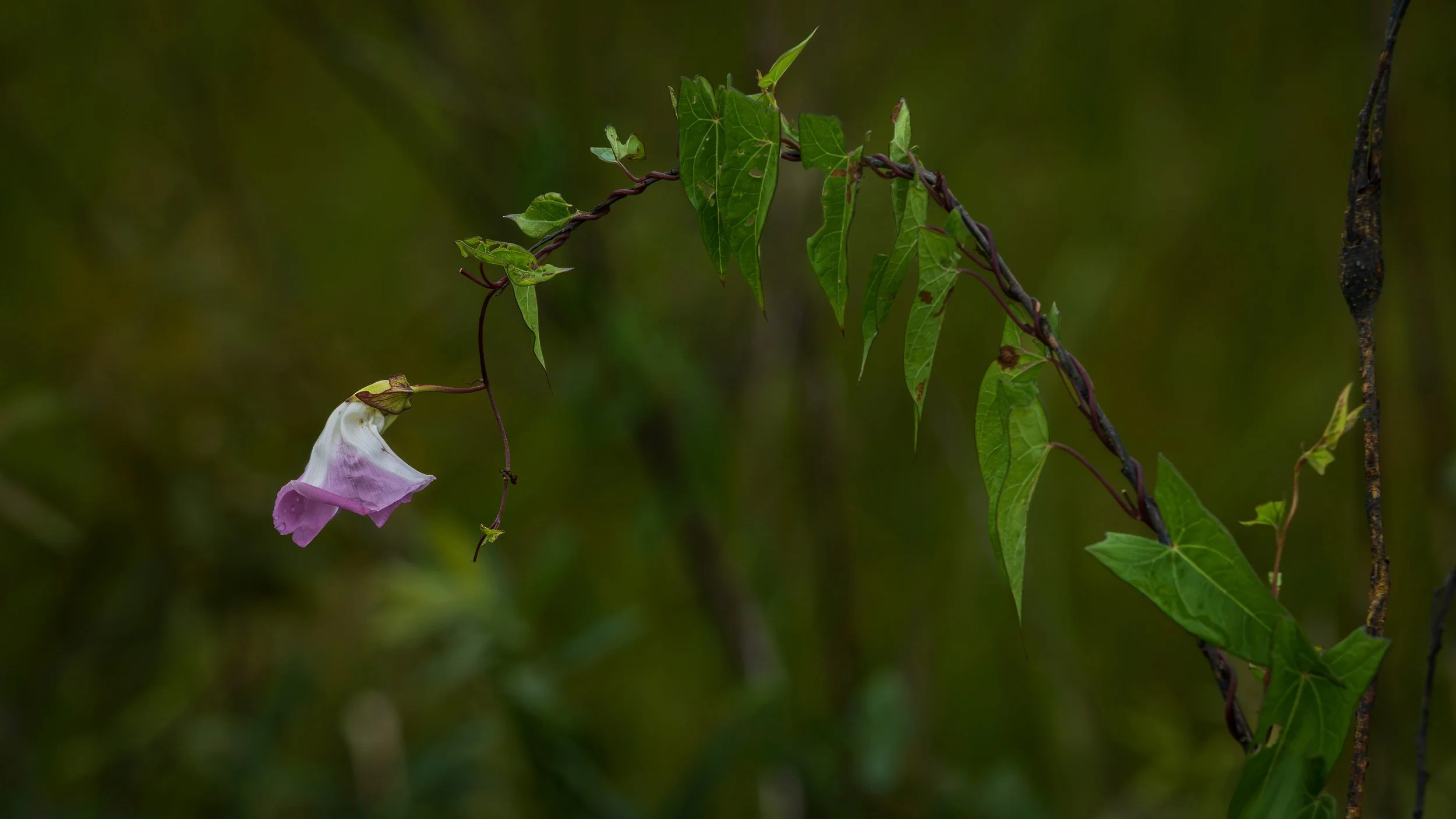 260815-17 Screen.jpg
