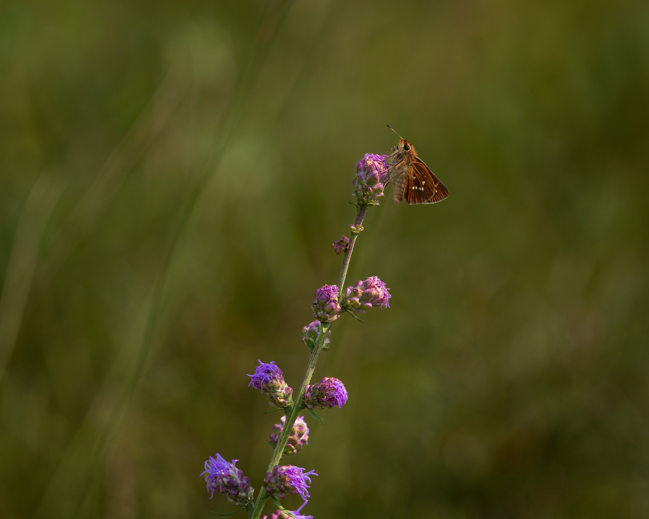 20260812-040 Screen.jpg