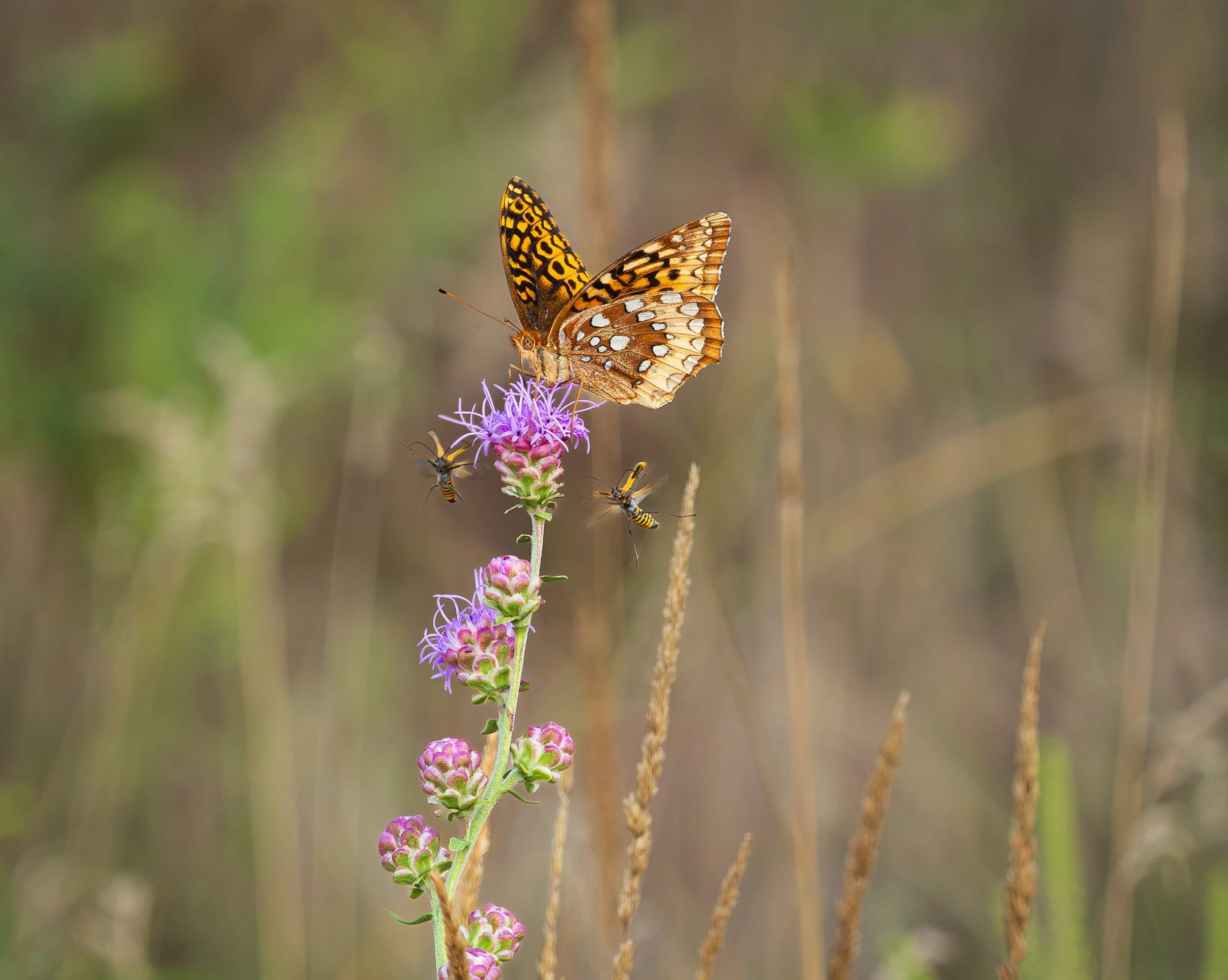 20260812-295-Edit Screen.jpg