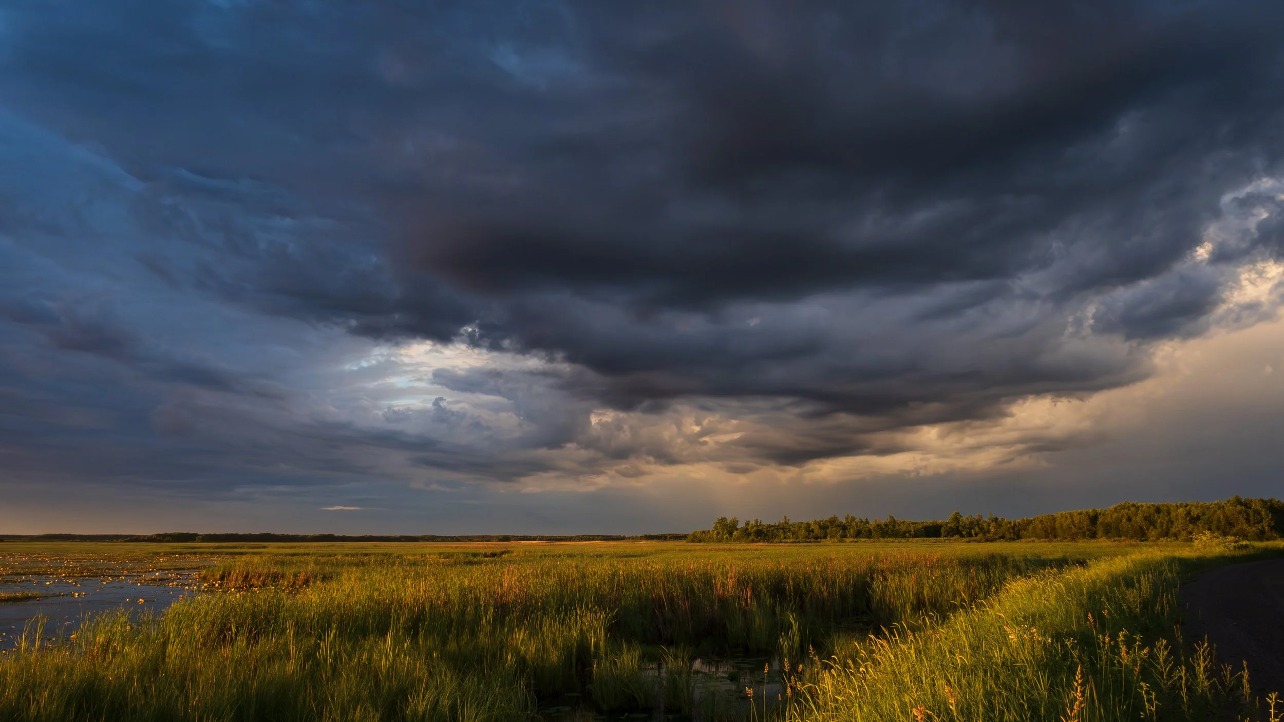 June 11, 2026. Crex Meadows