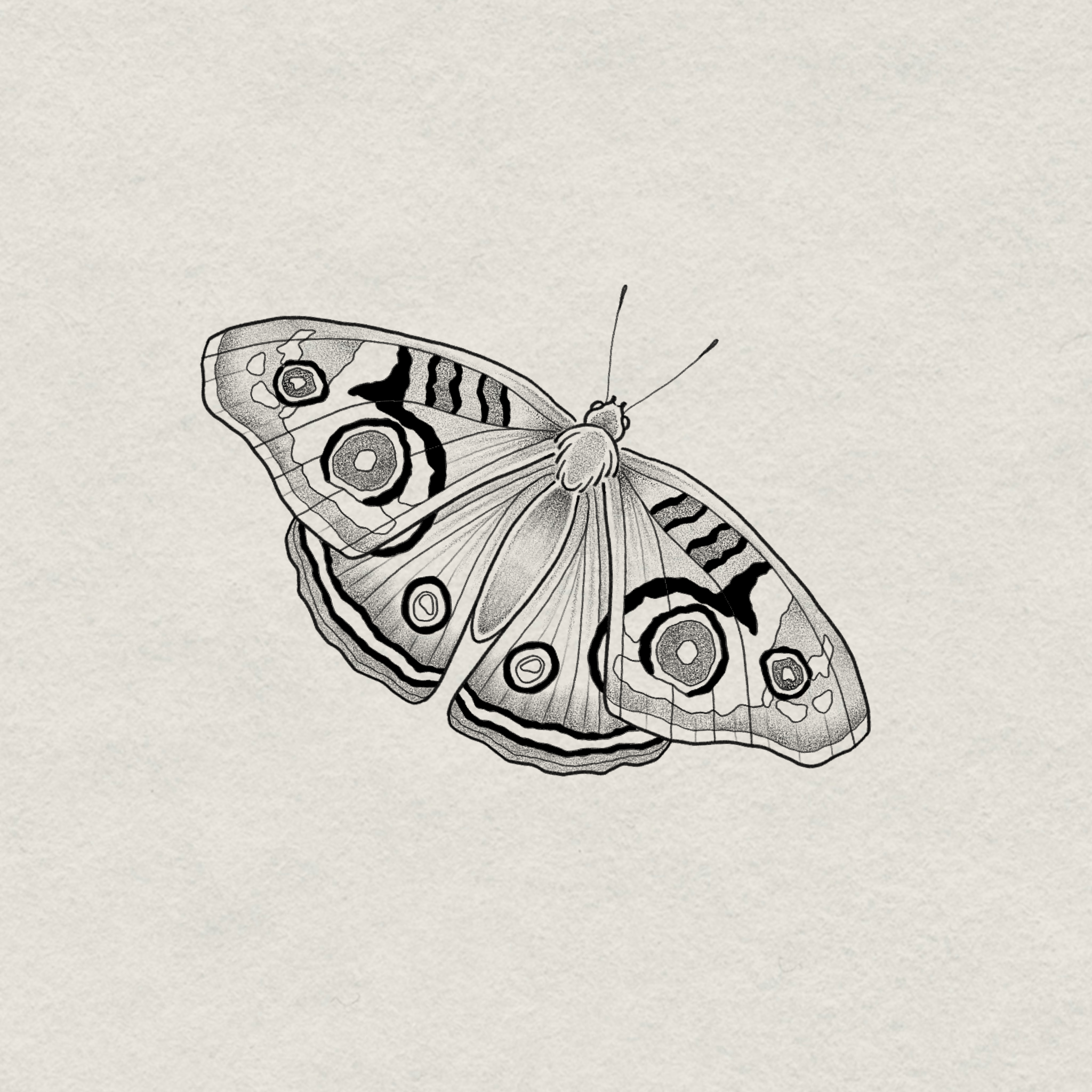 IMG_8347.png